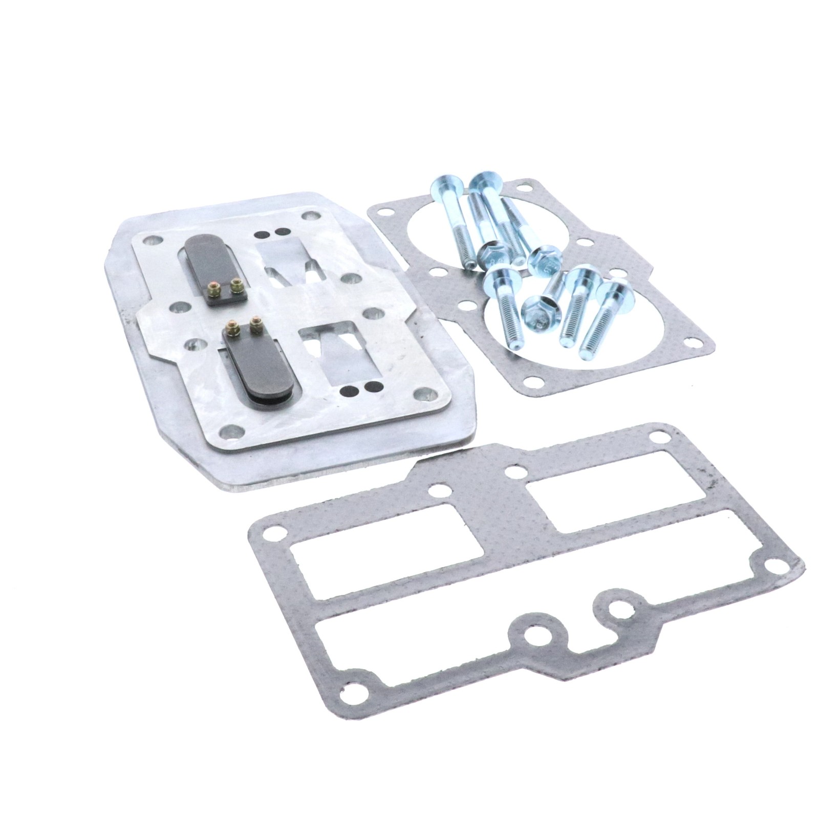 Porter Cable OEM 5140119-29 Valve Plate Assembly
