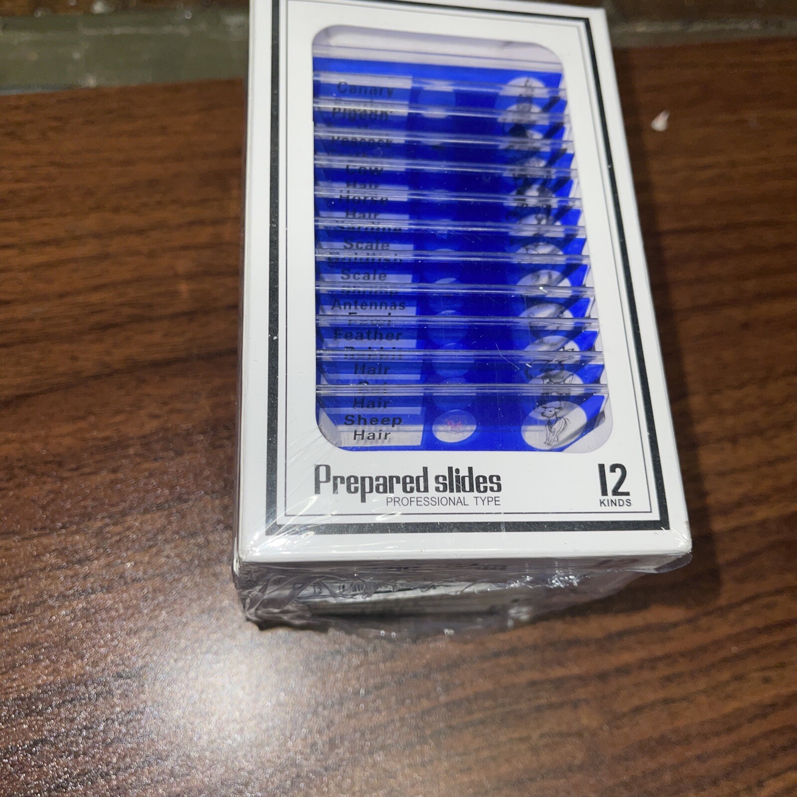 Prepared Plant 12 Slides Professional Type for Science Education X5 Boxes