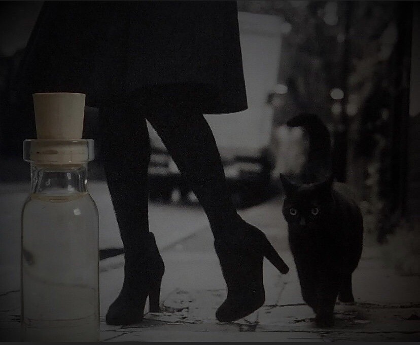 Cat Noir Oil