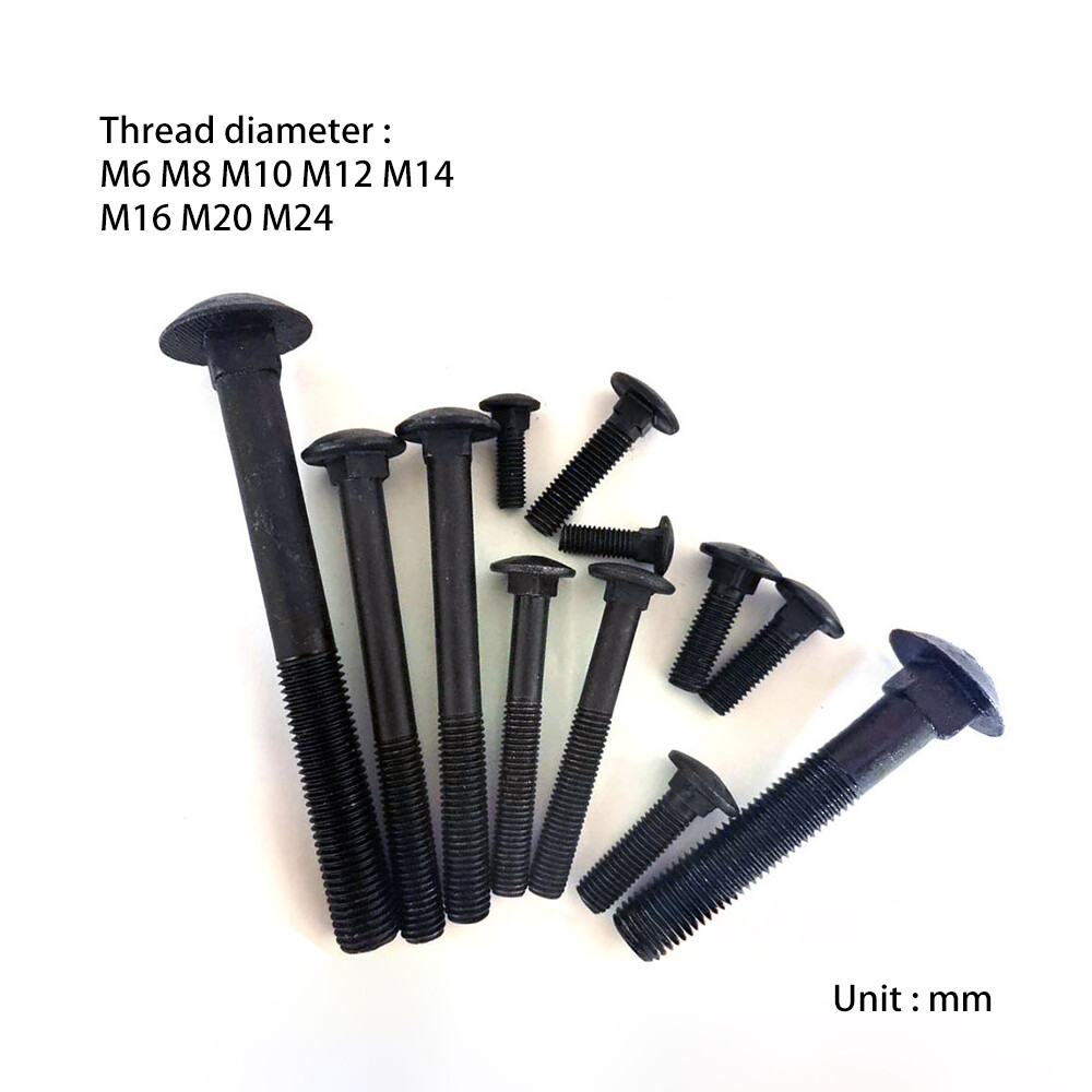 M6 M8 M10 M12 M14 M16 M20 M24 BK 8.8 Half round head square neck carriage screw