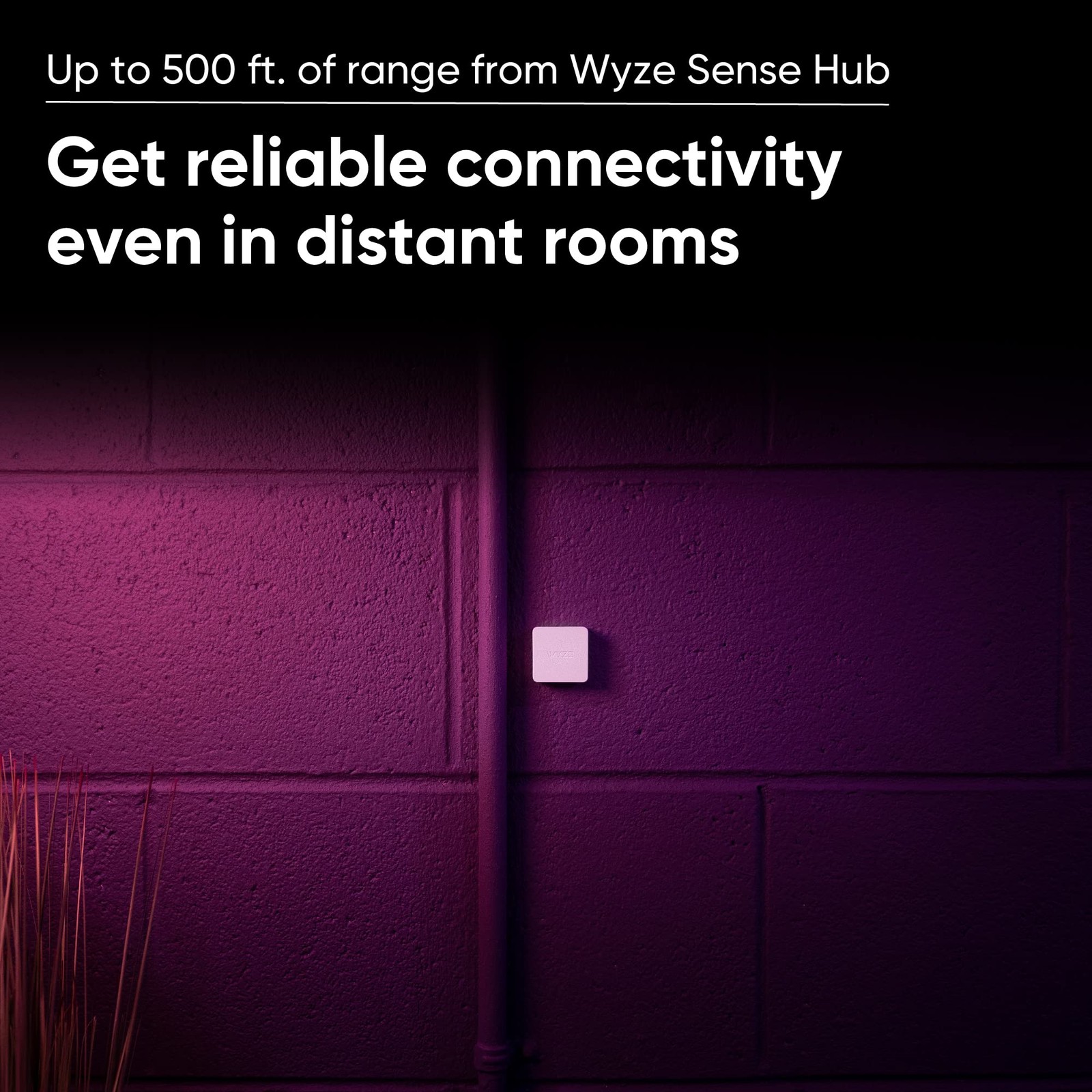 Wyze Climate Sensor (3-Pack) Sense Hub required White