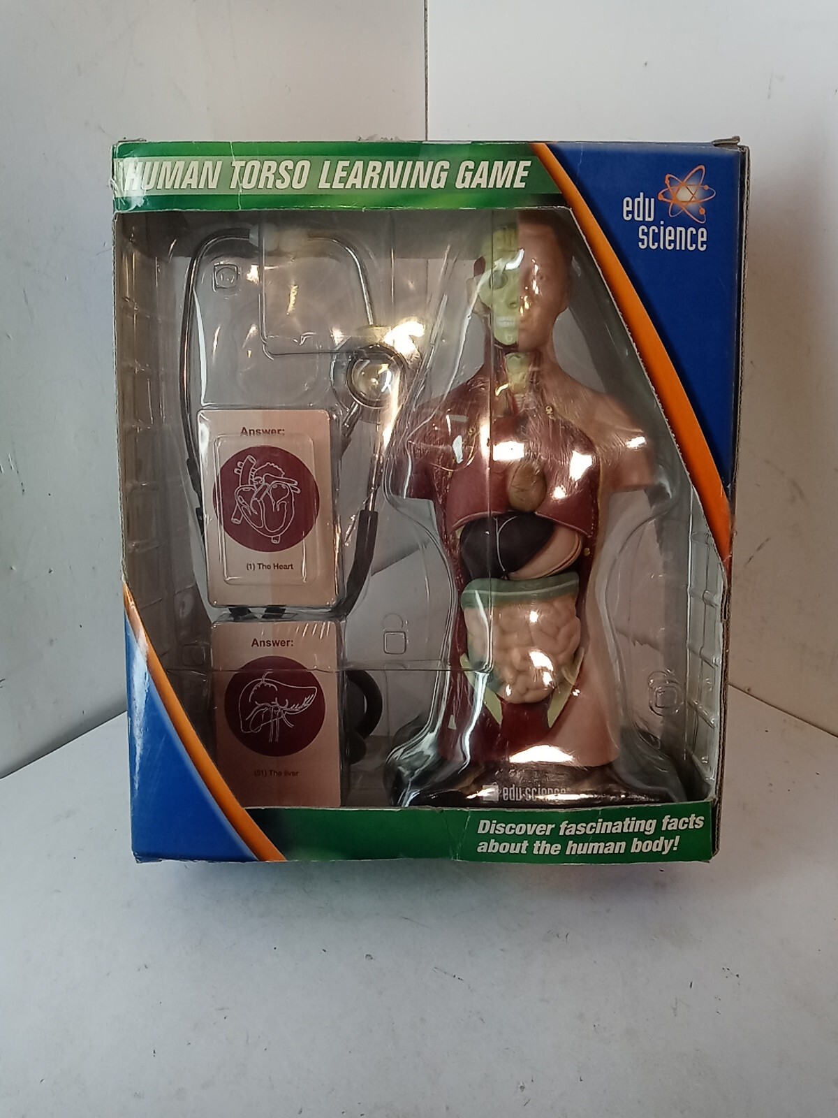 Human Torso model Home School Edu Science Kit  with Working Stethoscope anatomy