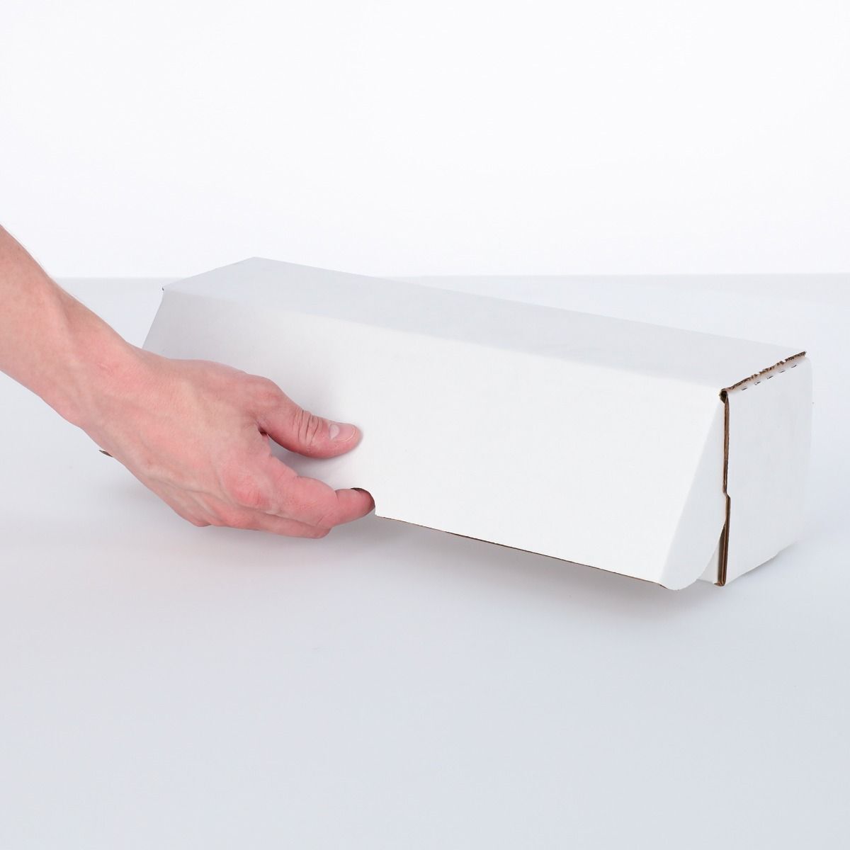 2 BCW 14" Toploader Storage Boxes