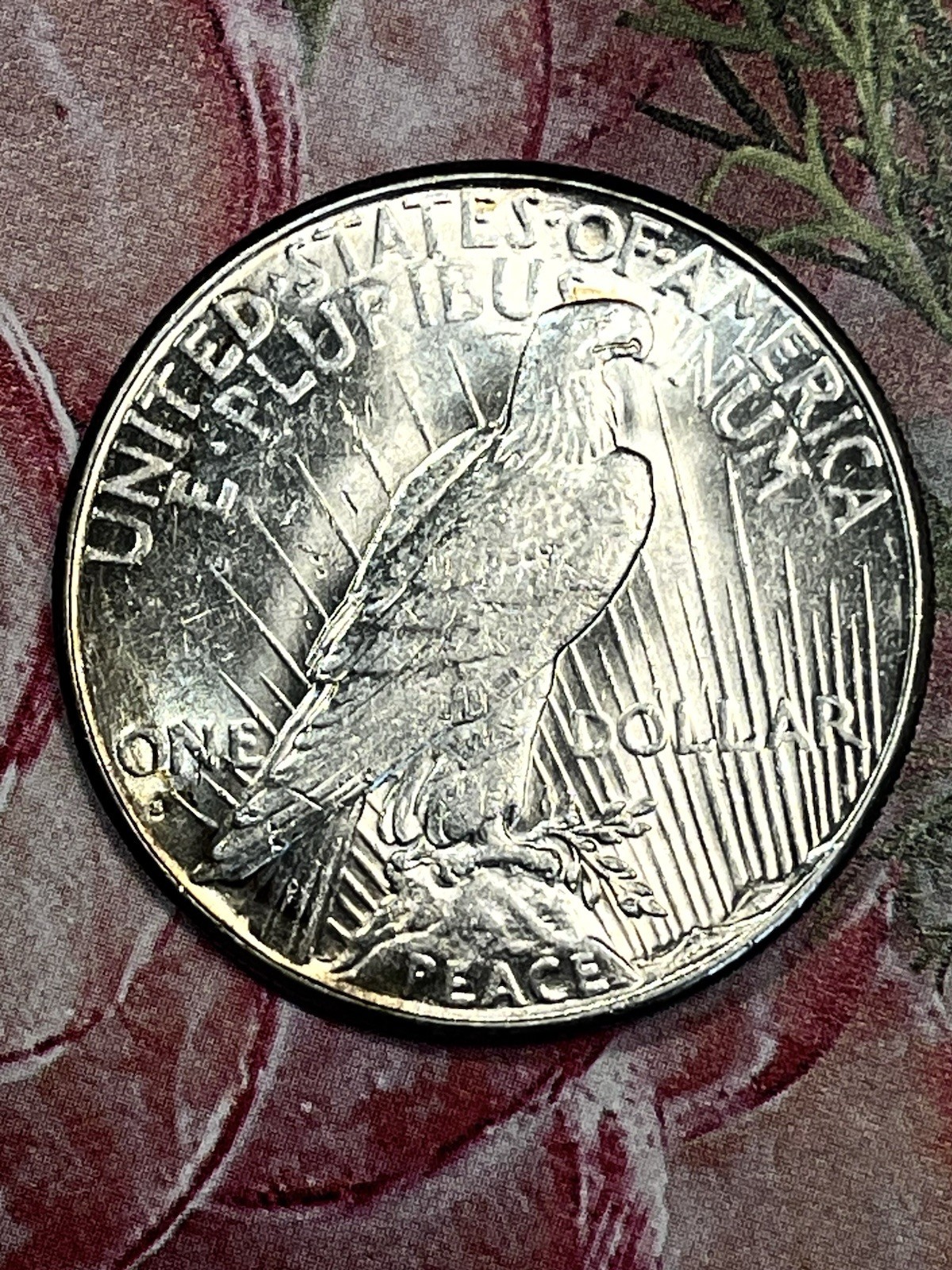 1928 S Peace Dollar Beautiful Toned Gem