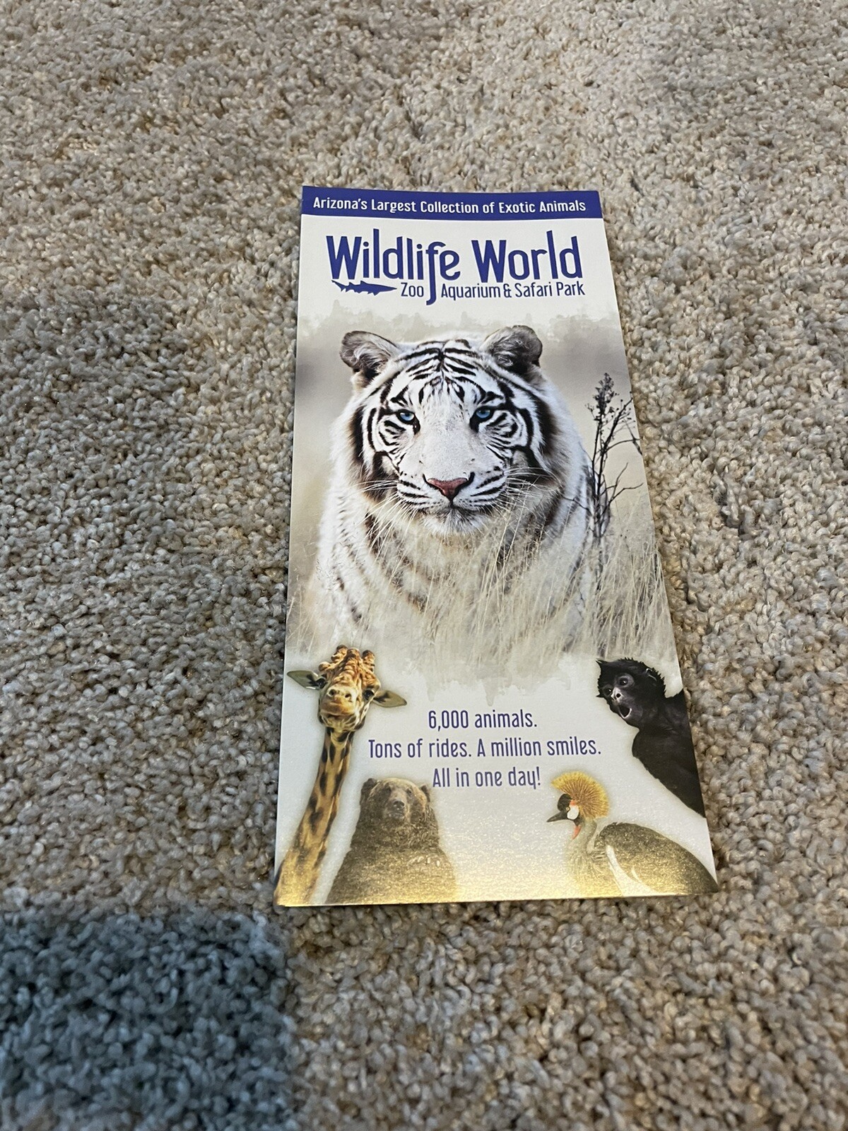 Wildlife World Zoo Aquarium Wild Safari Litchfield Park AZ  Map Guide Brochure