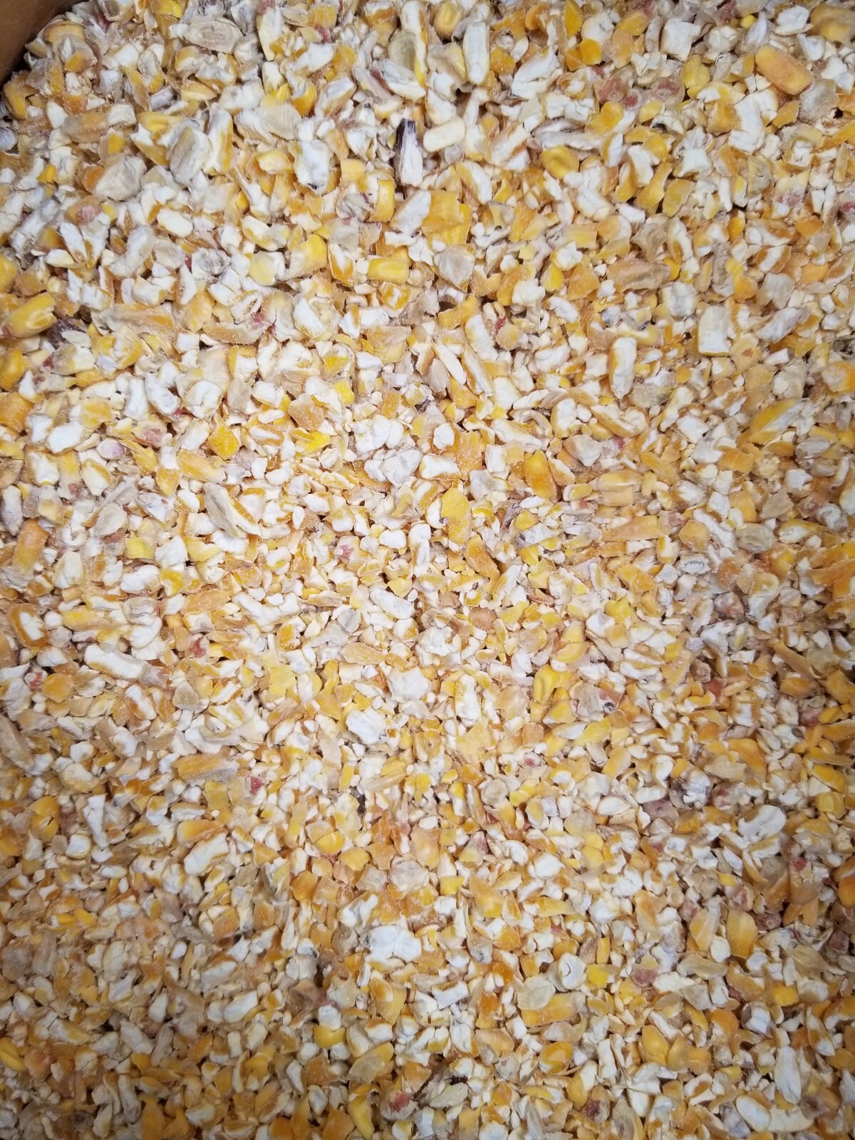 10 lbs Cracked Dry Corn
