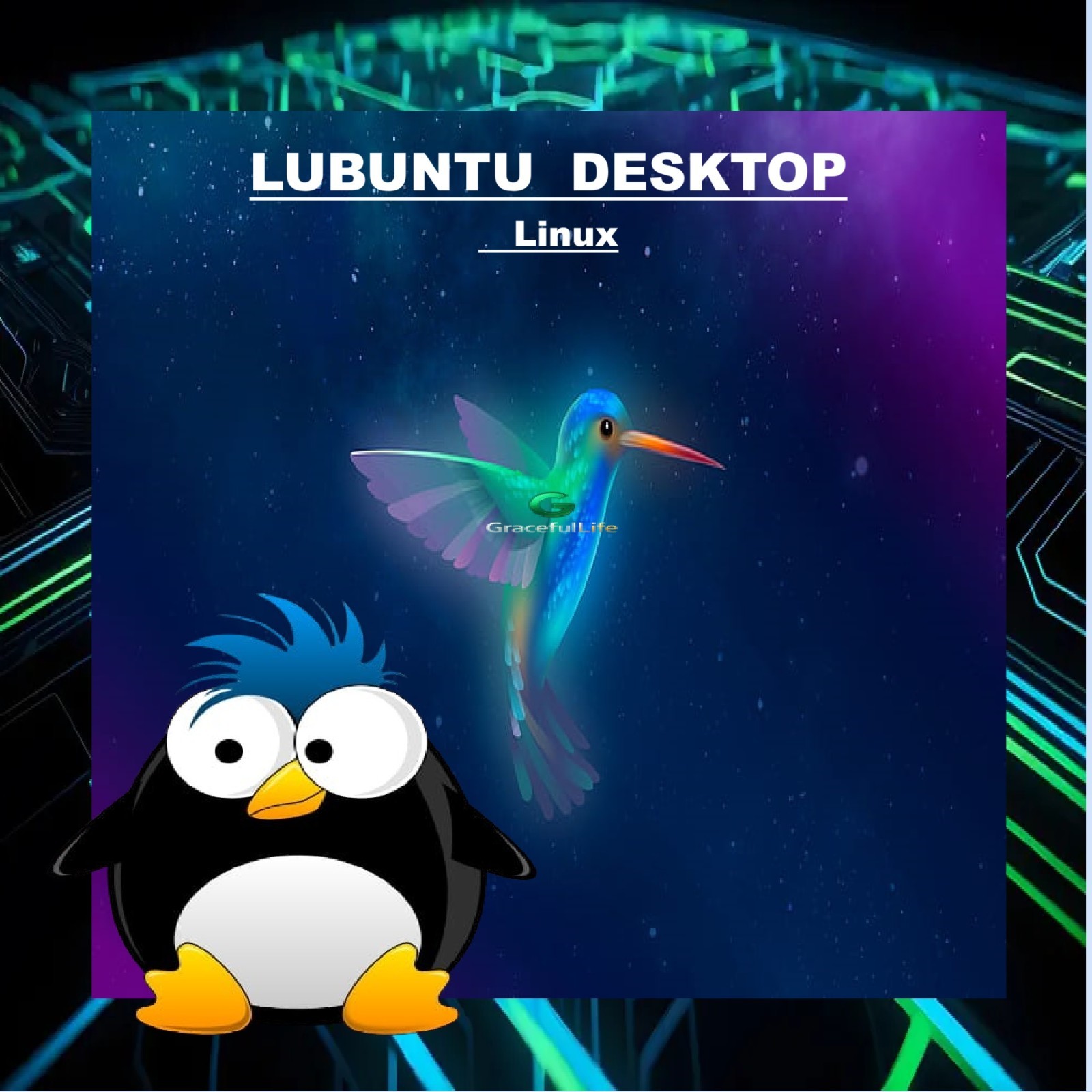 LUBUNTU DESKTOP Linux OS 64-Bit  Live Install Bootable Software ~ 2025 edition