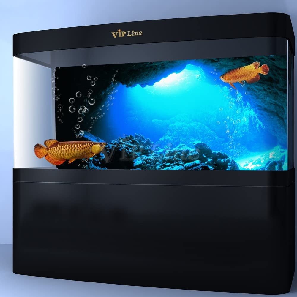 Generic Aquarium Background Poster Under Water Cave Sunlight Fish Tank Backdrop