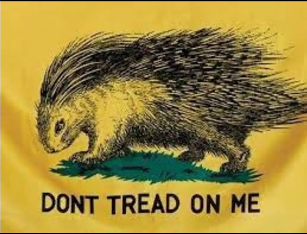 TRUMP STICKERS 2024 MAGA RED PILL