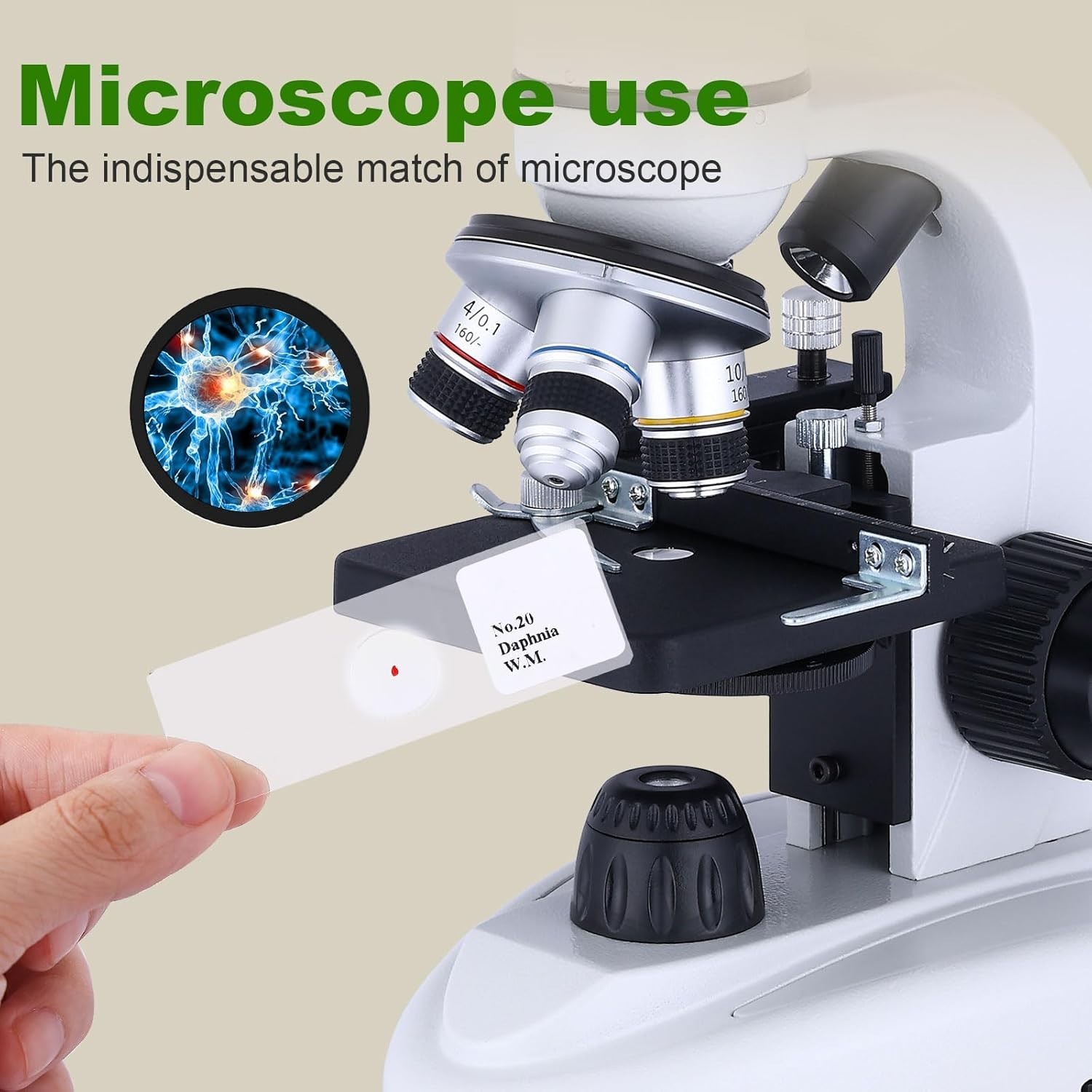 120 Microscope Slides with Specimens, Plant, Insect, Animal, Algae Slide Set for