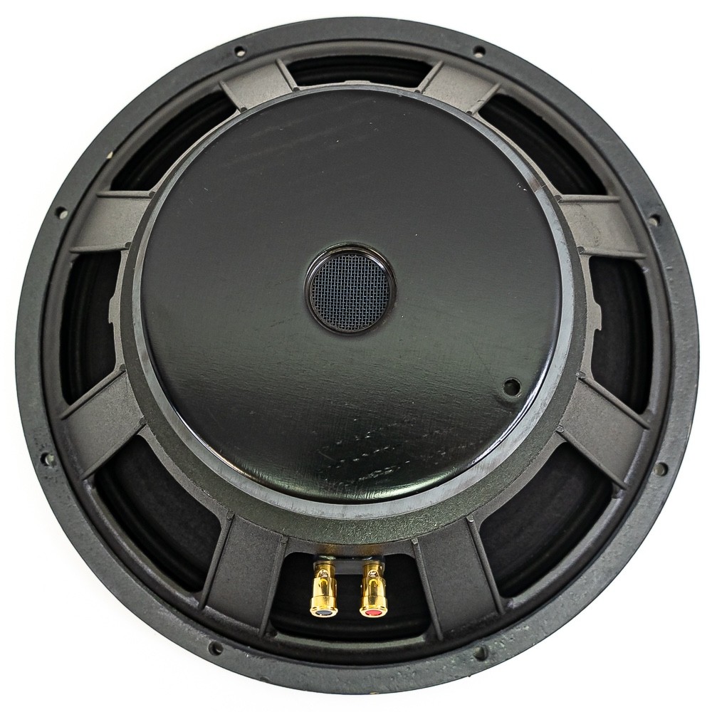 Eminence 15” Professional Audio Speaker – Made in USA | MSPK151769 / 151947