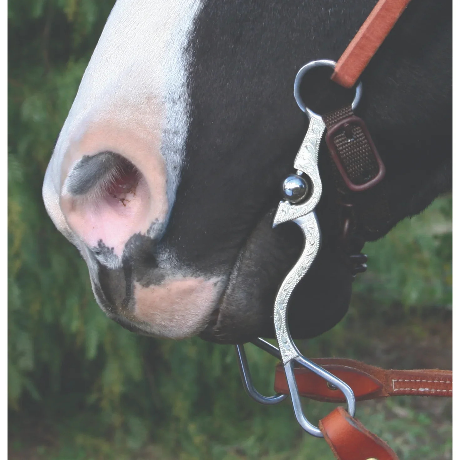 Professional's Choice Bob Avila AV Santa Maria Spanish Horse Bit - 5” Sweet