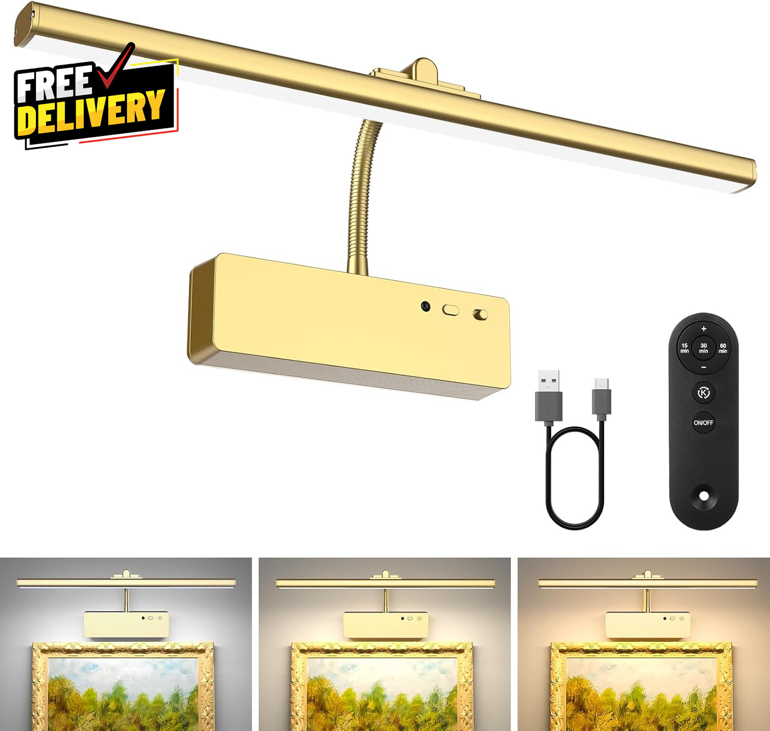 Picture Light with Remote 15.35Inch Wireless Rechargeable Battery Wall Light