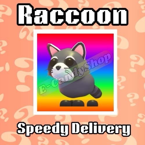 Raccoon - Adopt Your Pet From Me!