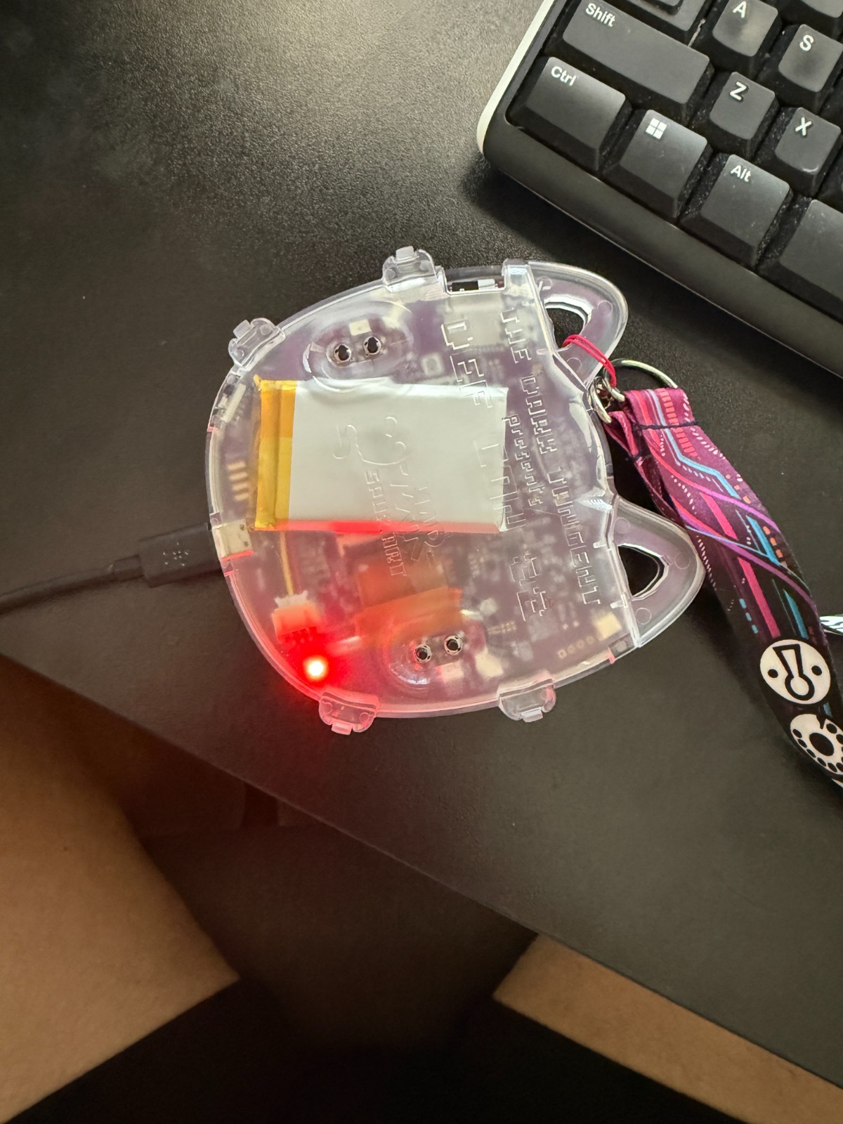 DEF CON 32 Human Badge Cat PCB Powers On Battery w/ Lanyard Tested Raspberry PI
