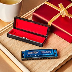 Blue Diatonic Harmonica 10 Hole Brass Reed Pocket Harmonica with Storage Box