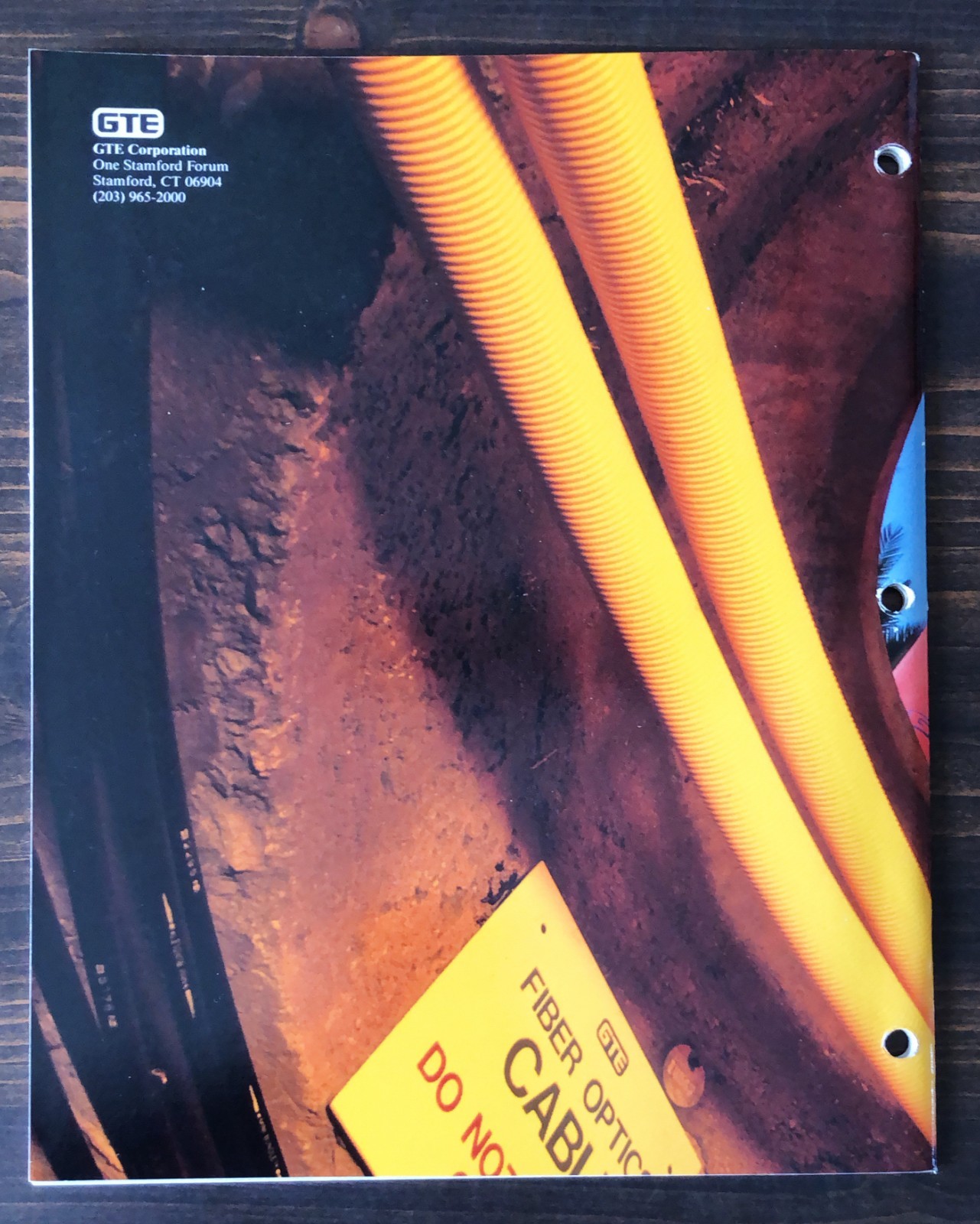 1985 GTE Annual Report