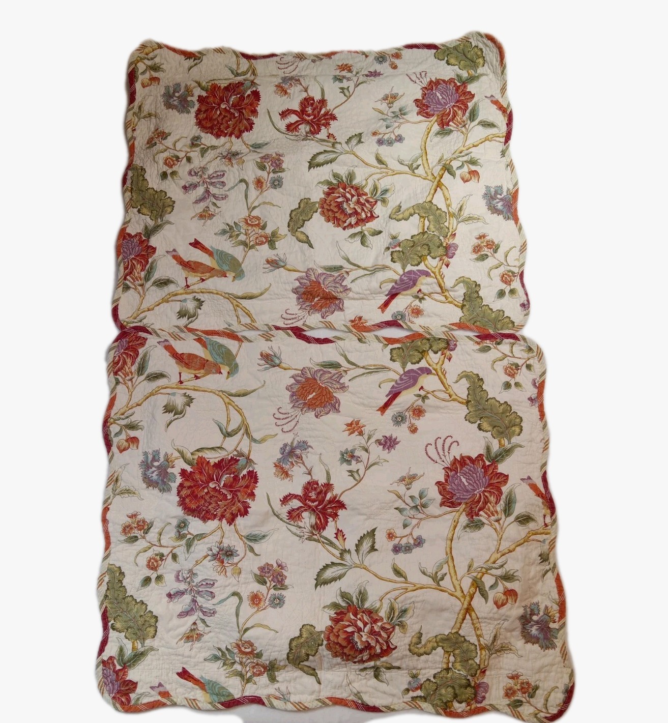 Waverly Standard Pillow Shams Charleston Chirp Quilted Whimsical Cottagecore
