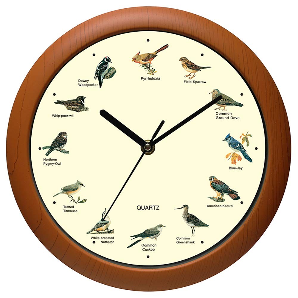 Belinlen Singing Bird Wall Clock 12 Inch of The New 12 inch, Brown(12inch)