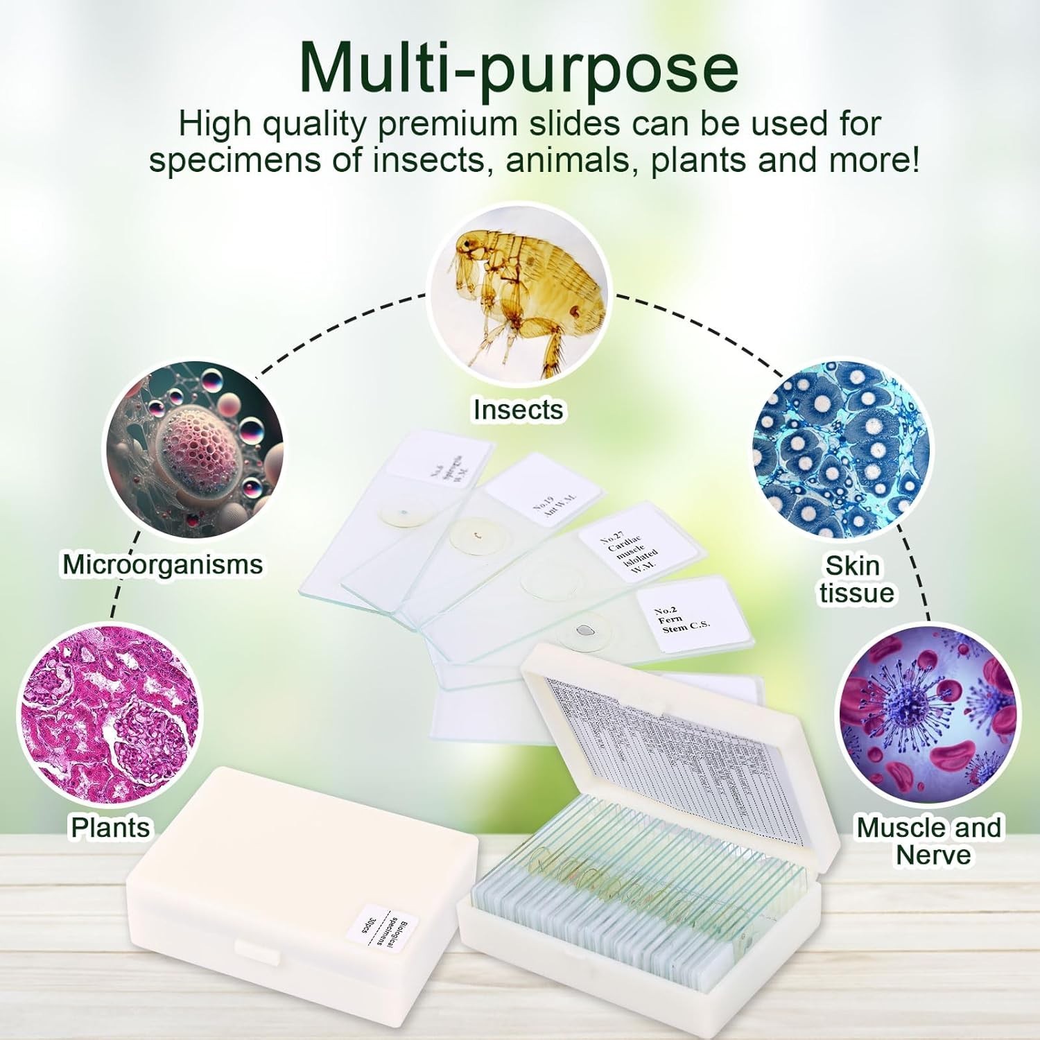120 Microscope Slides with Specimens, Plant, Insect, Animal, Algae Slide Set for
