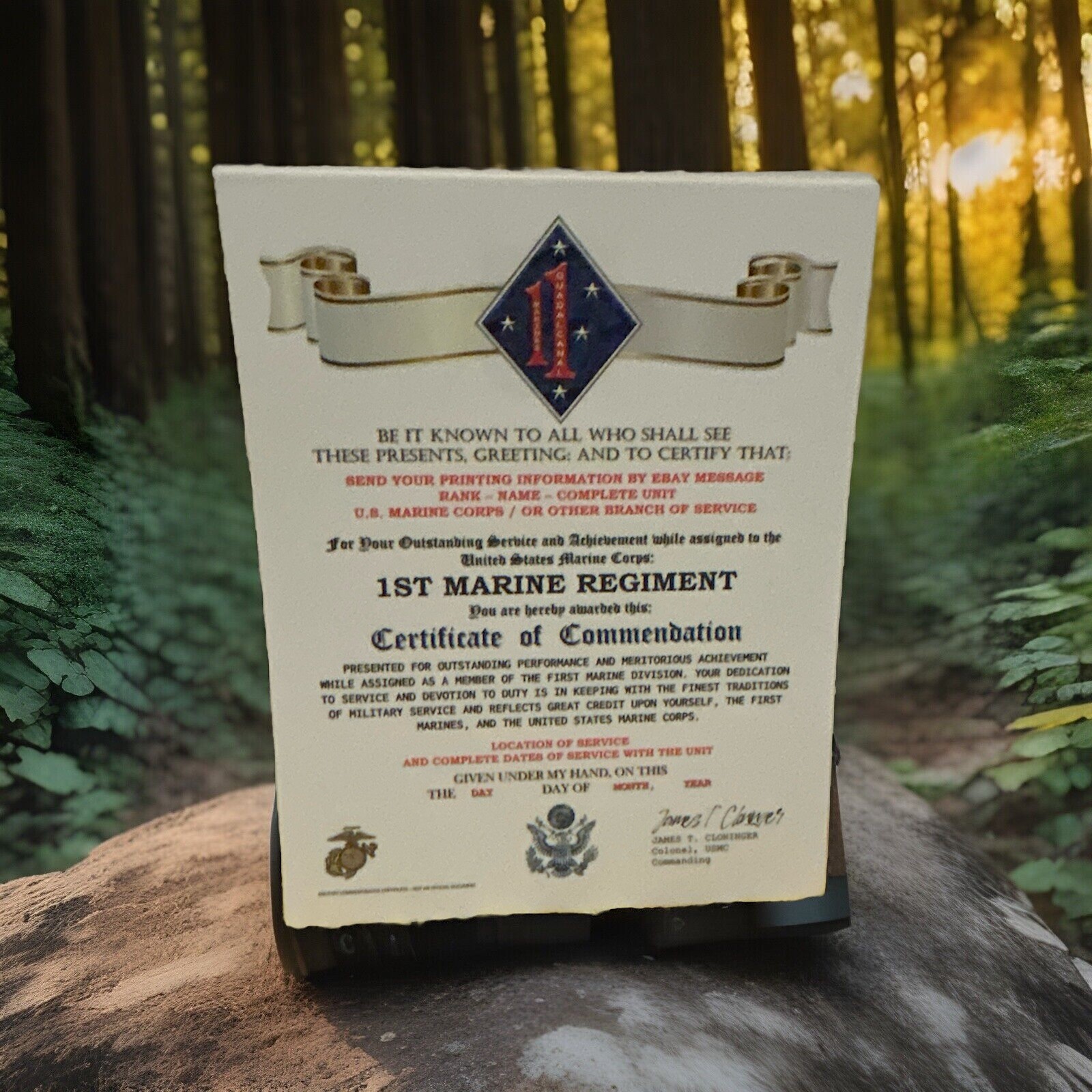 U.S. MARINE CORPS / 1ST MARINE REGIMENT (1 MARDIV) - CERTIFICATE OF COMMENDATION