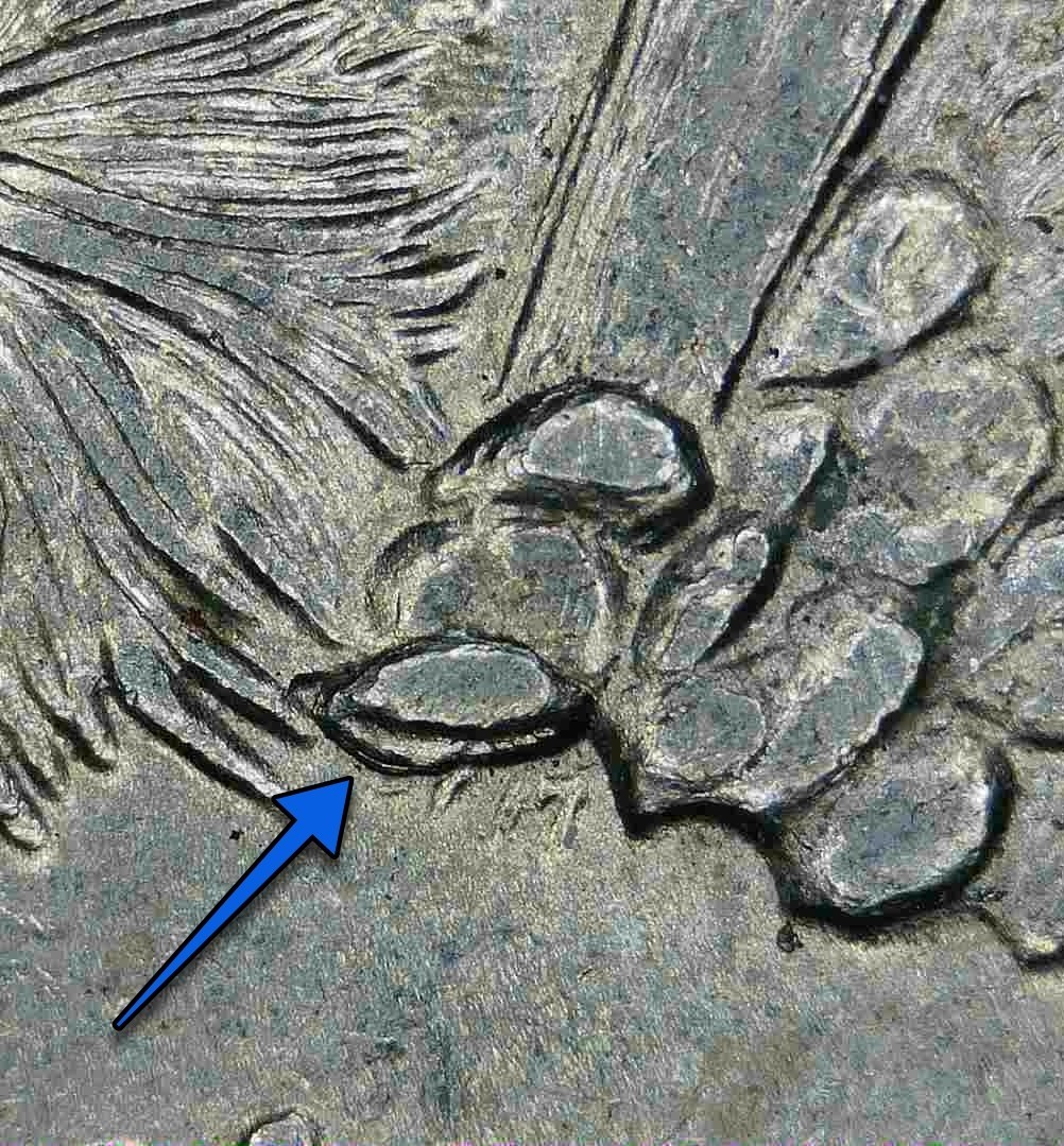 Extra Cactus Leaf Die Chip Error - 2008 Arizona State Quarter
