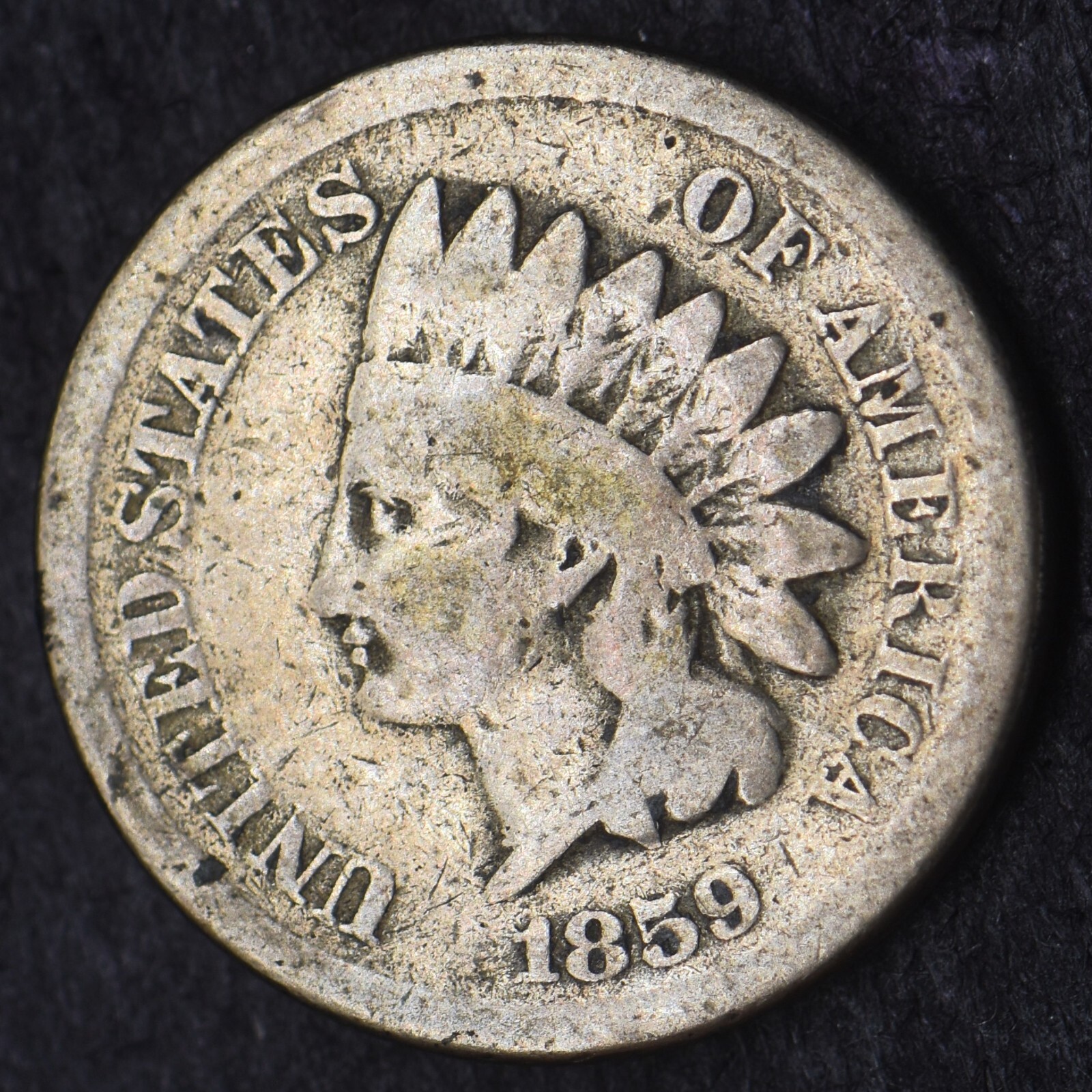 1859 Indian Head Cent 1C - COINGIANTS -