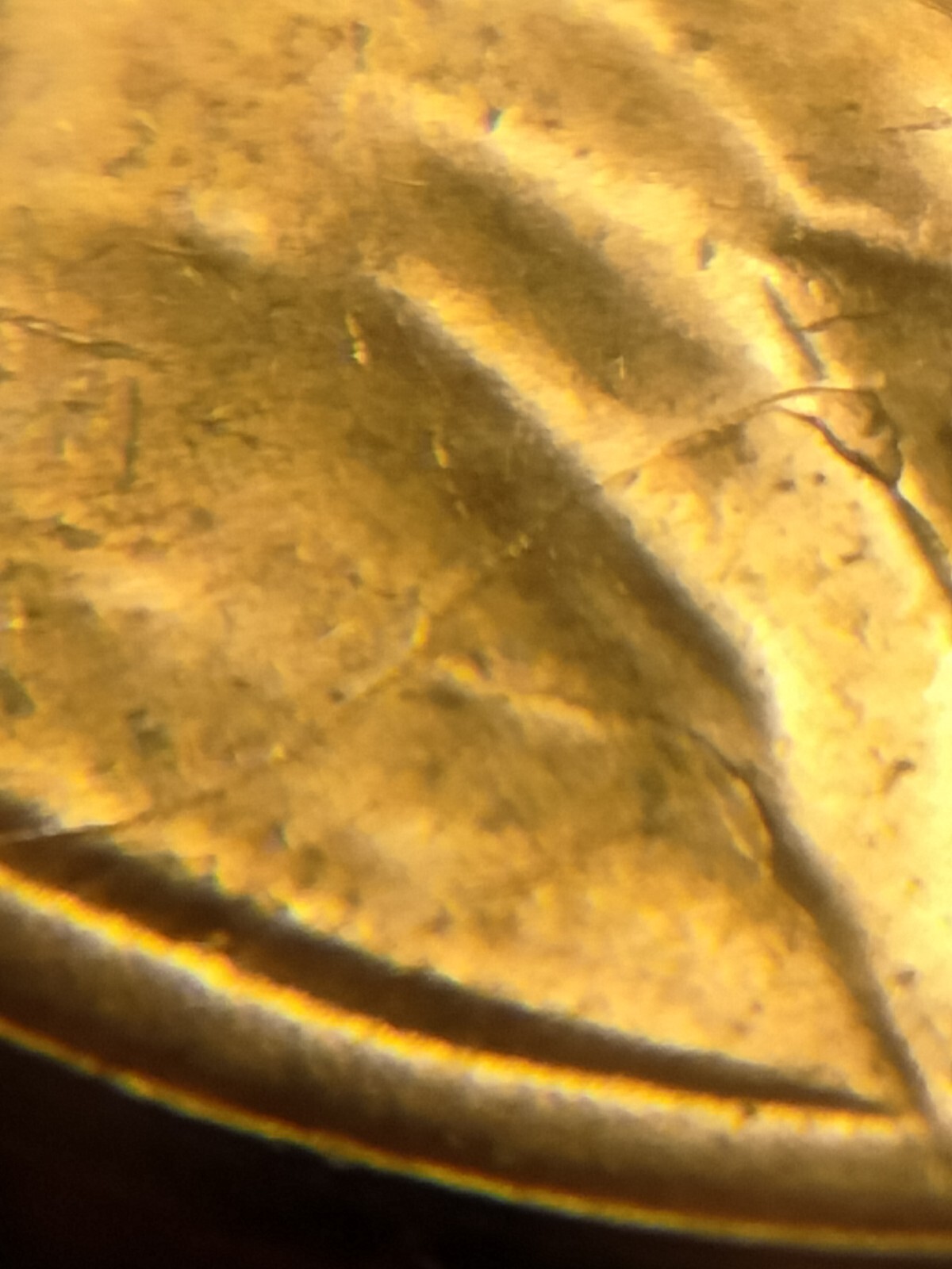 1956 P Lincoln Wheat Cent Retained Die Breaks Die Breaks