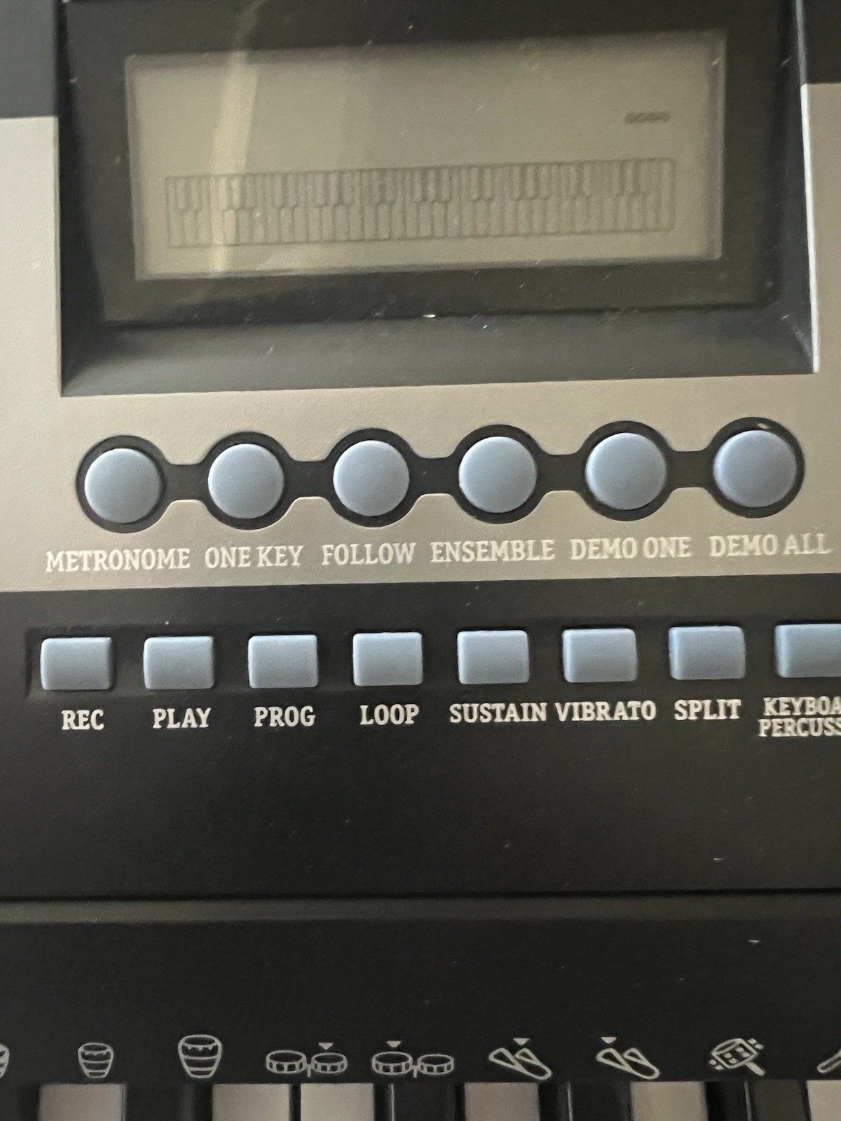 Thaynards TS-380 Prodigy 61 Key