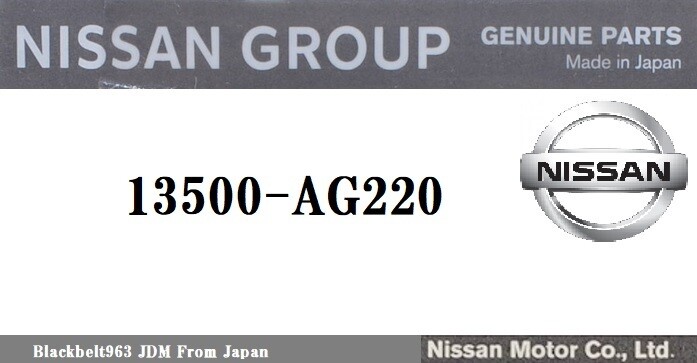 NISSAN Genuine  13500AG220 Front Timing Chain Cover 13500AG220 JDM OEM JAPAN