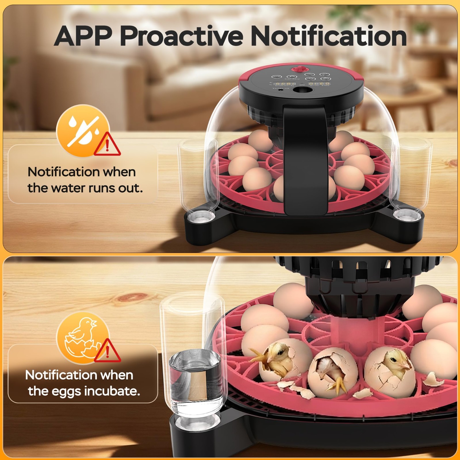 12 Egg Automatic Incubator with APP Control, Video Record, Temp & Humidity Contr