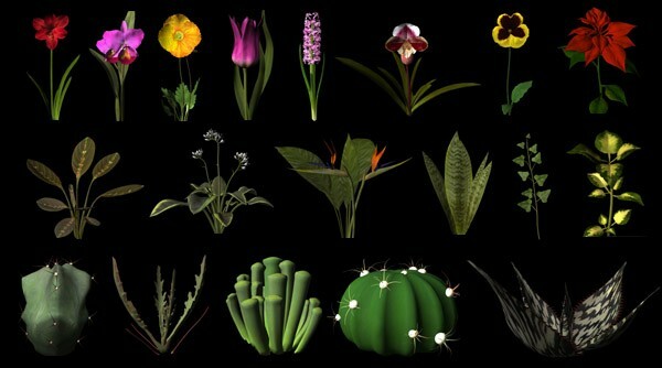 The Botanical 3D Models 75+ Fully Textured Flower & Plant Models in DXF Format