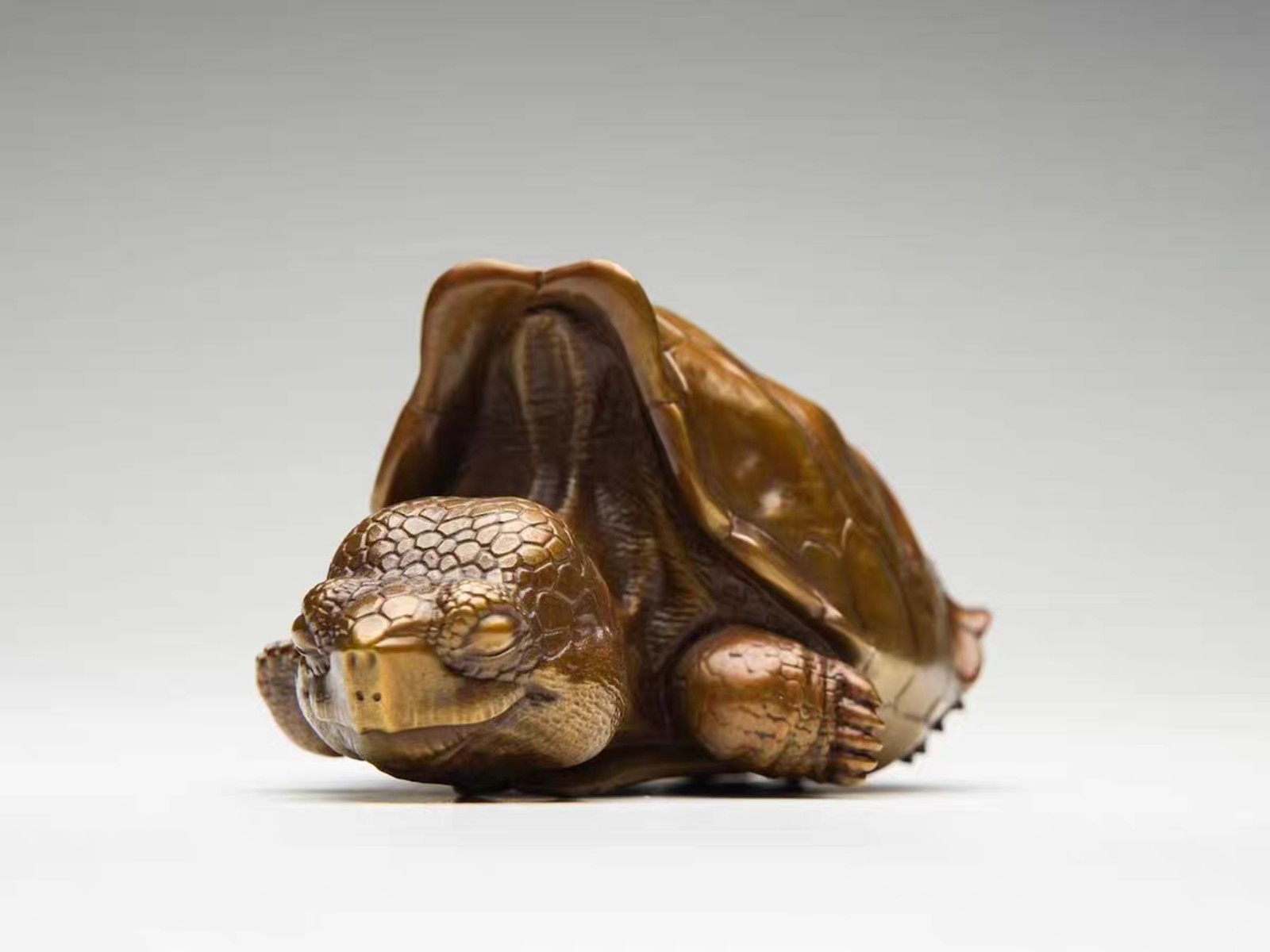 Solid Bronze Copper Galapagos Tortoise Turtle Statue Artwork Decor handcraft