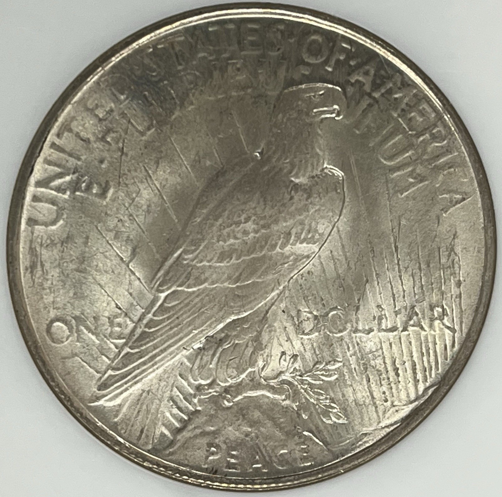 Old NGC Fatty Holder MS64 1922-P Peace Silver Dollar
