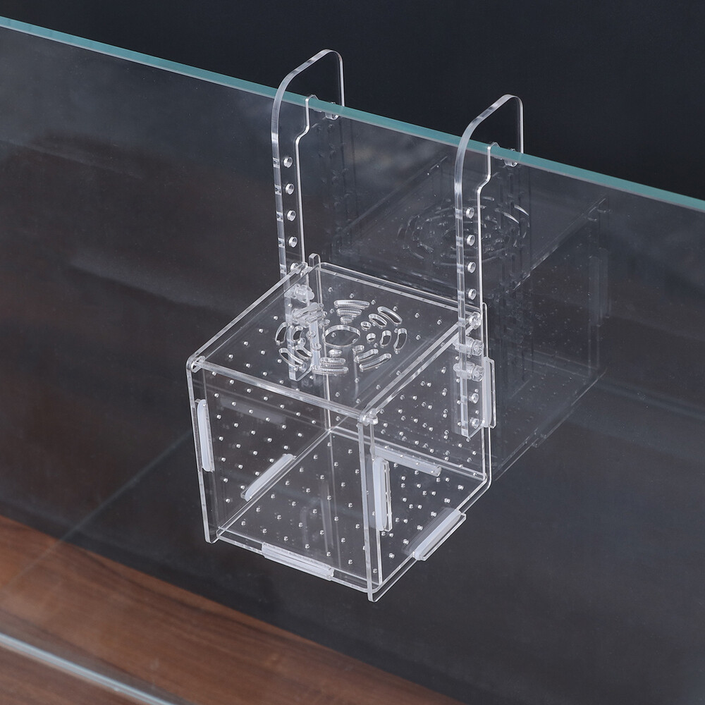 Fish Holder Incubator for Fish Betta Breeding Hatching Boxes Shrimp Holder