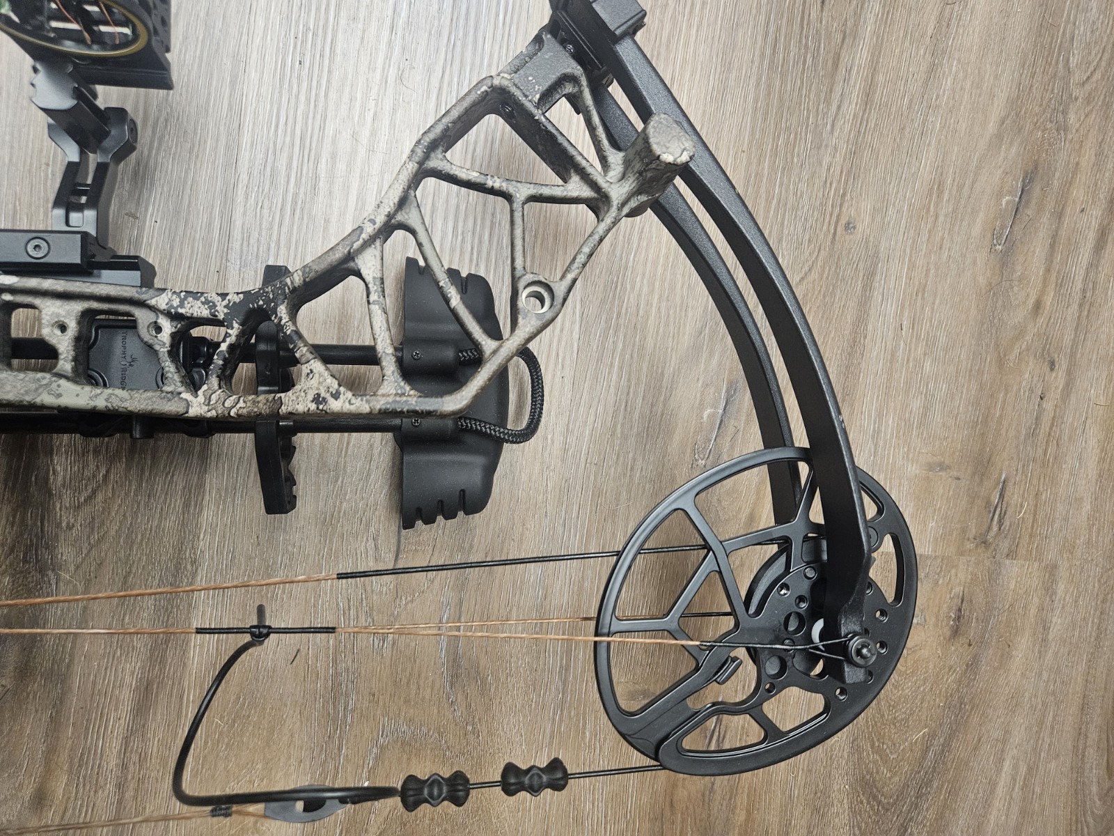 Bear Legit Maxx RH Compound Bow