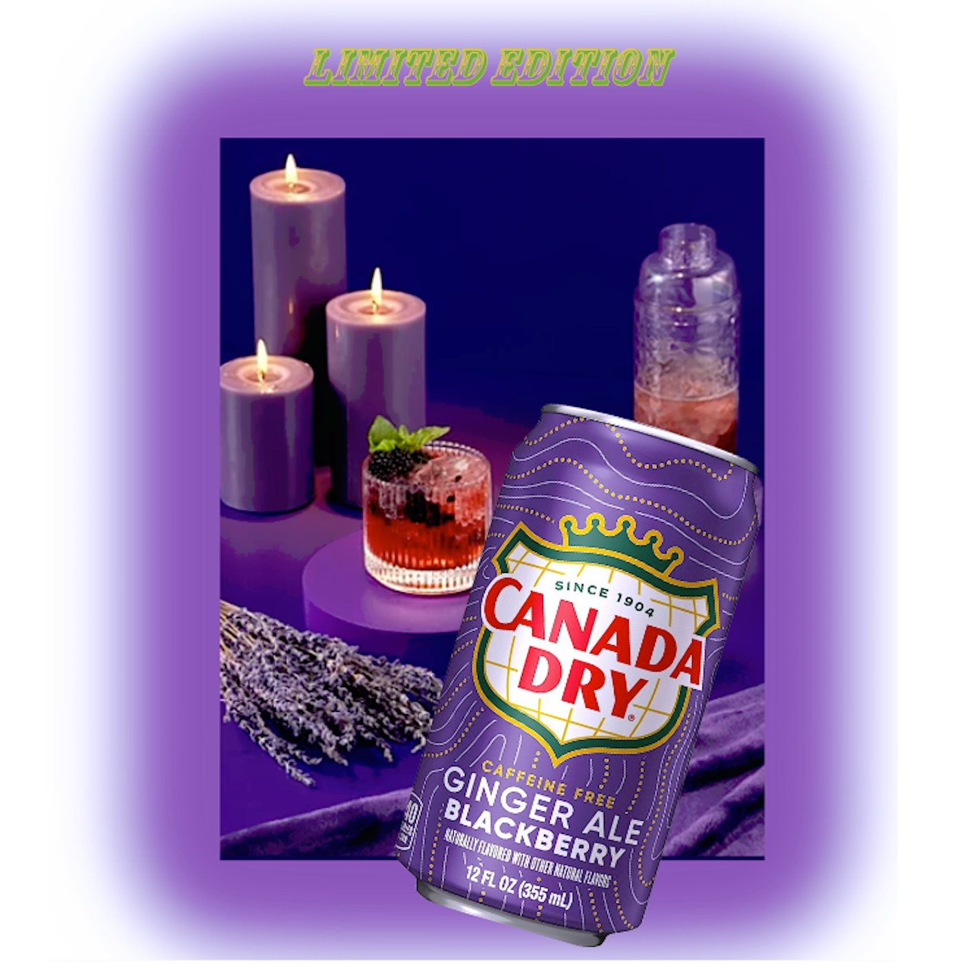 Canada Dry Limited Edition🍇Blackberry Ginger Ale 12oz.can