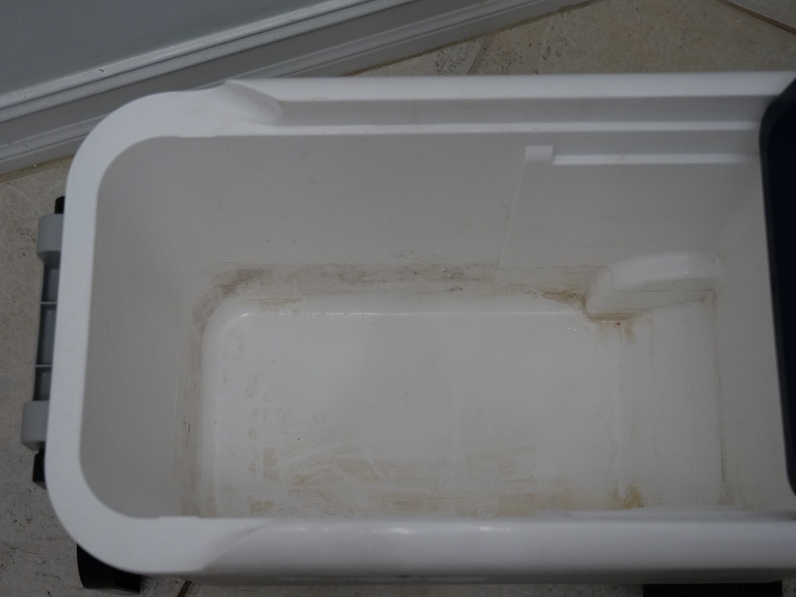 Igloo MaxCold Roller Wheelie Cool Cooler 40 qt. Ice Chest