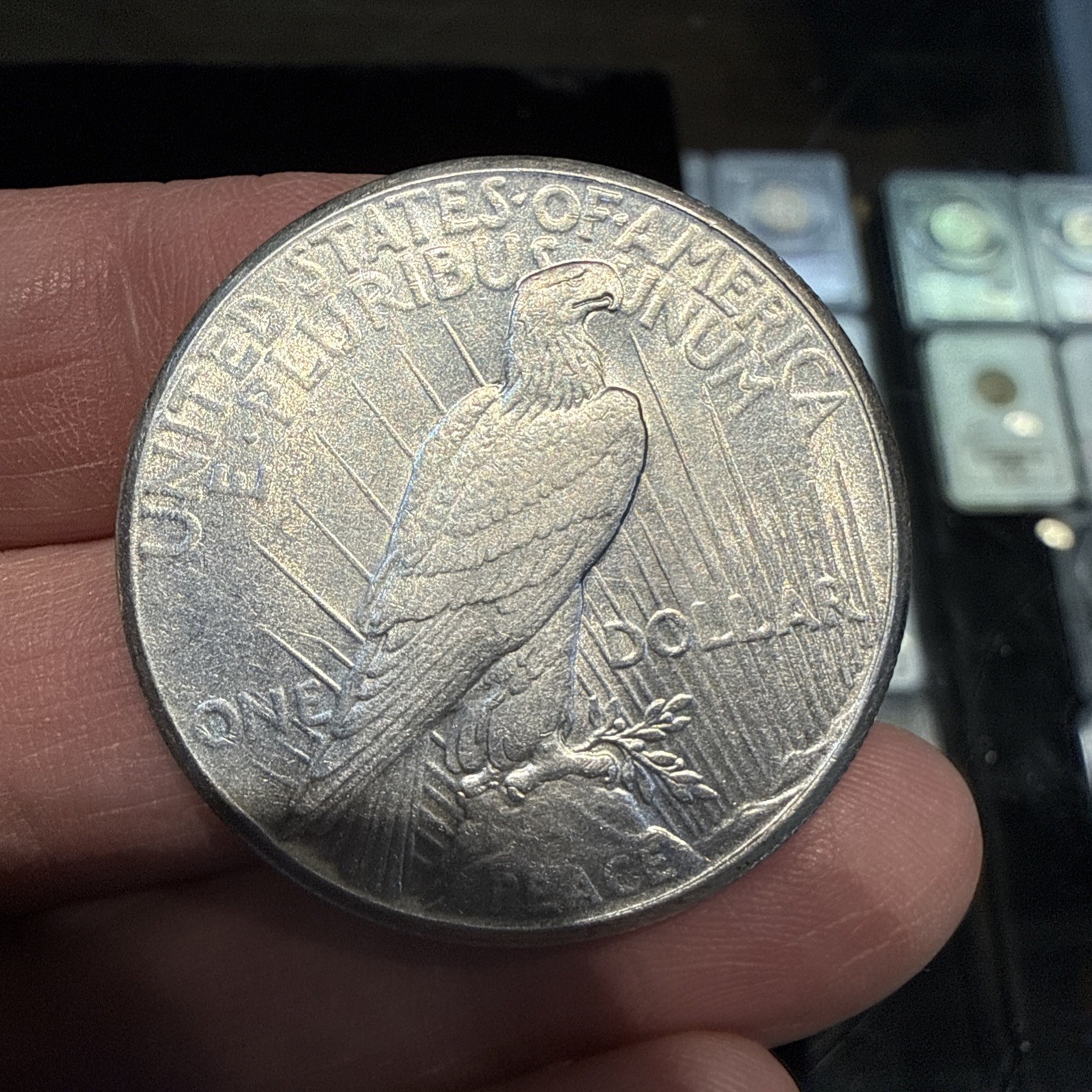 Lot Of 5 Peace Dollars
