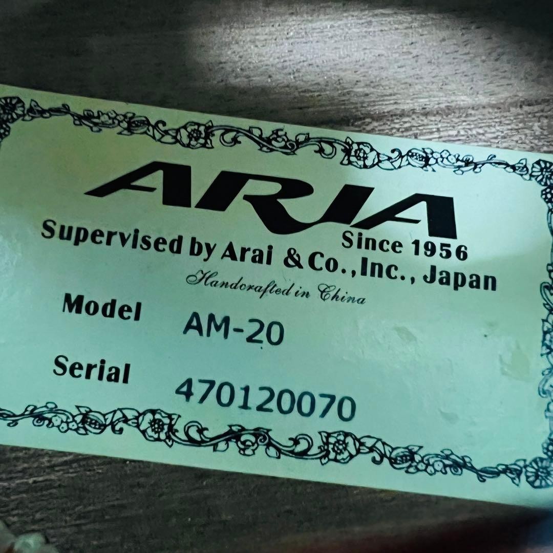 ARIA AM-20 Mandolin 8 string with hard case