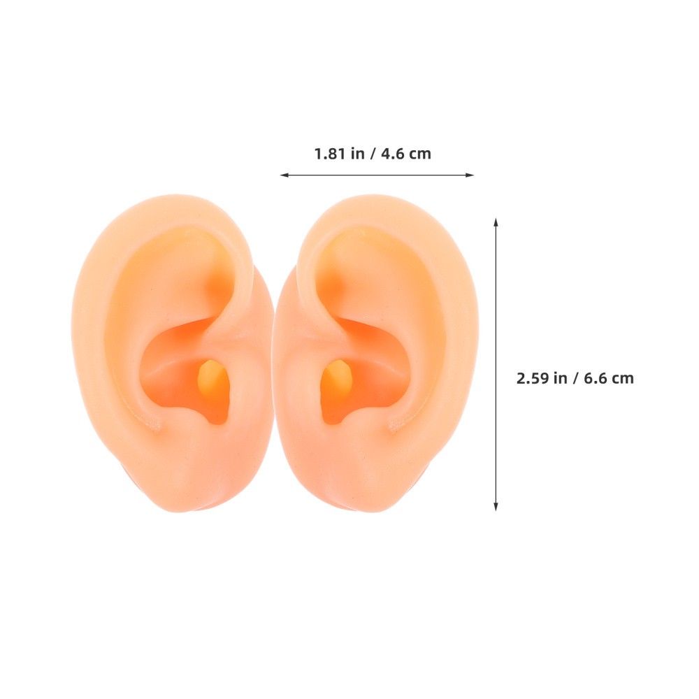 2 Pair Piercing Ear Model Human Anatomy Fake Display Mold Earpiece