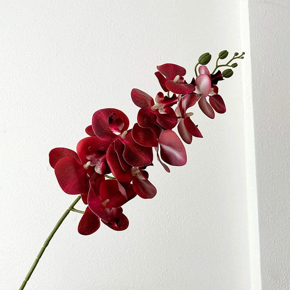Artificial Phalaenopsis Orchid Stem – 98cm Long Faux Orchid