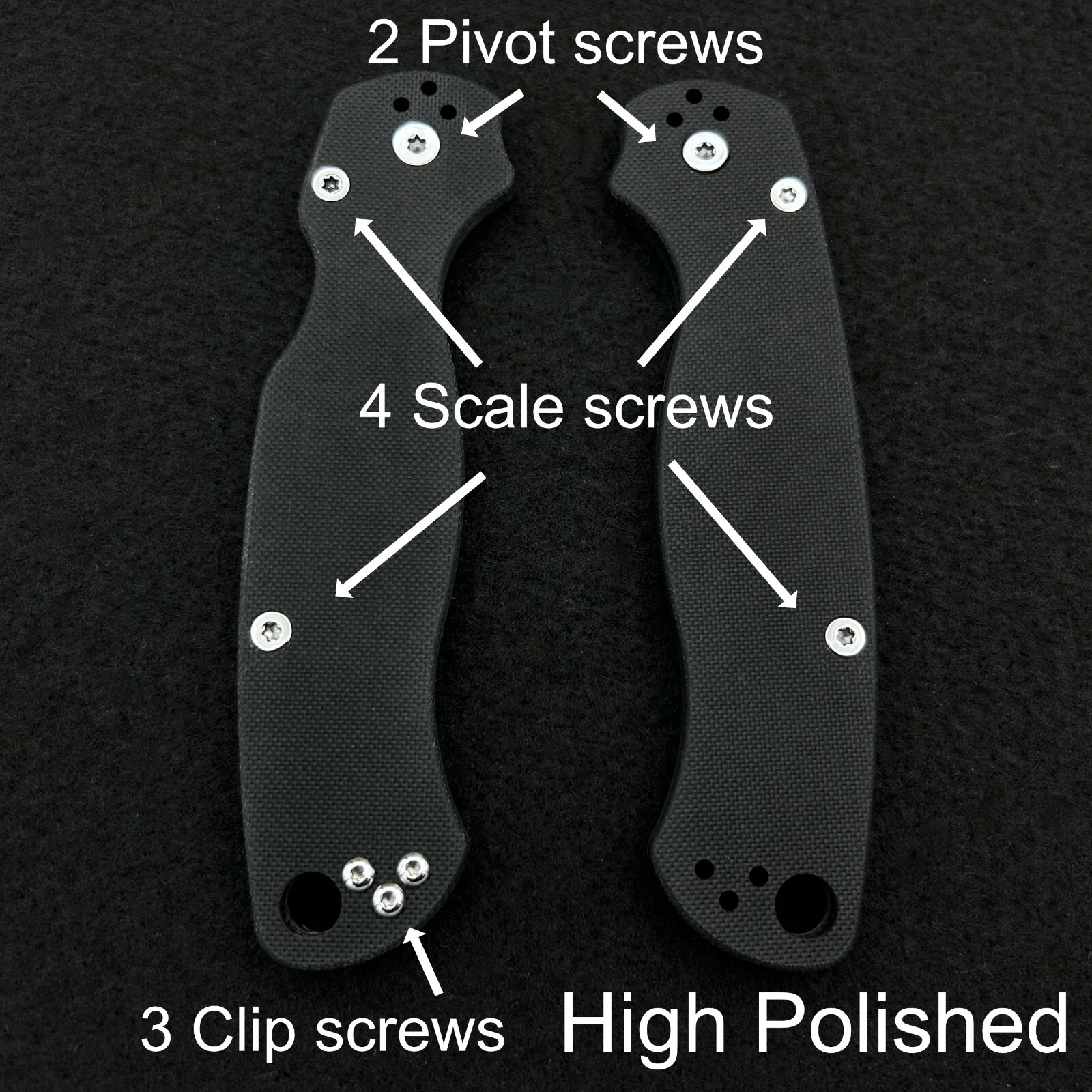 Stock Stainless Polished Screws (NO KNIFE) for Spyderco Paramilitary 2 C81GP2