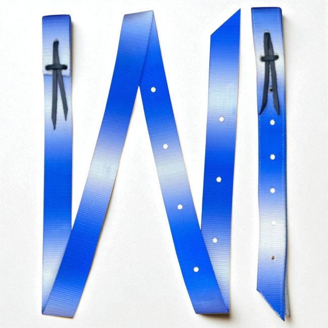 2-Ply Webbed Nylon Tie Strap & Off Billet Set – Ombre Blue