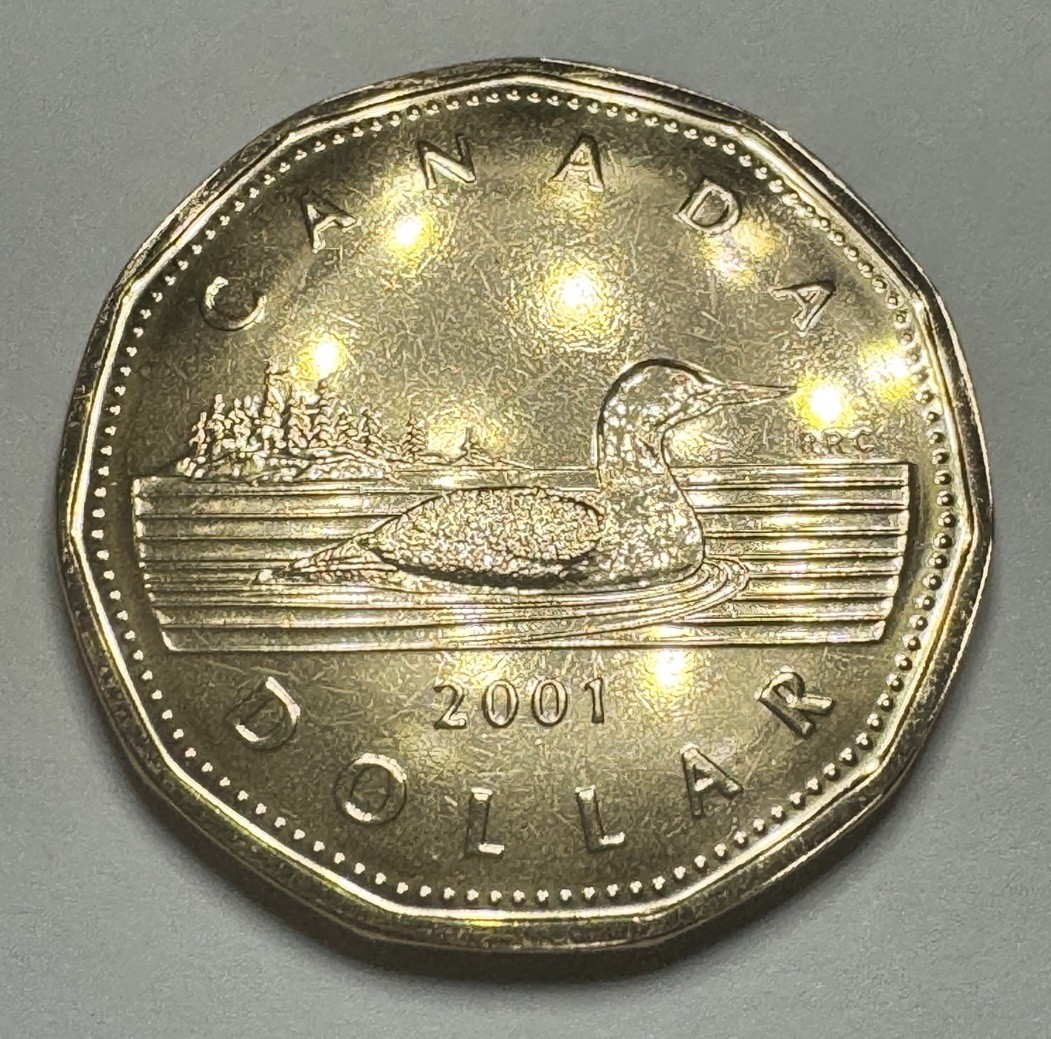 2001 Canadian UNC "Canadian Loon" $1 Dollar Loonie Coin from RCM Set. Nice!
