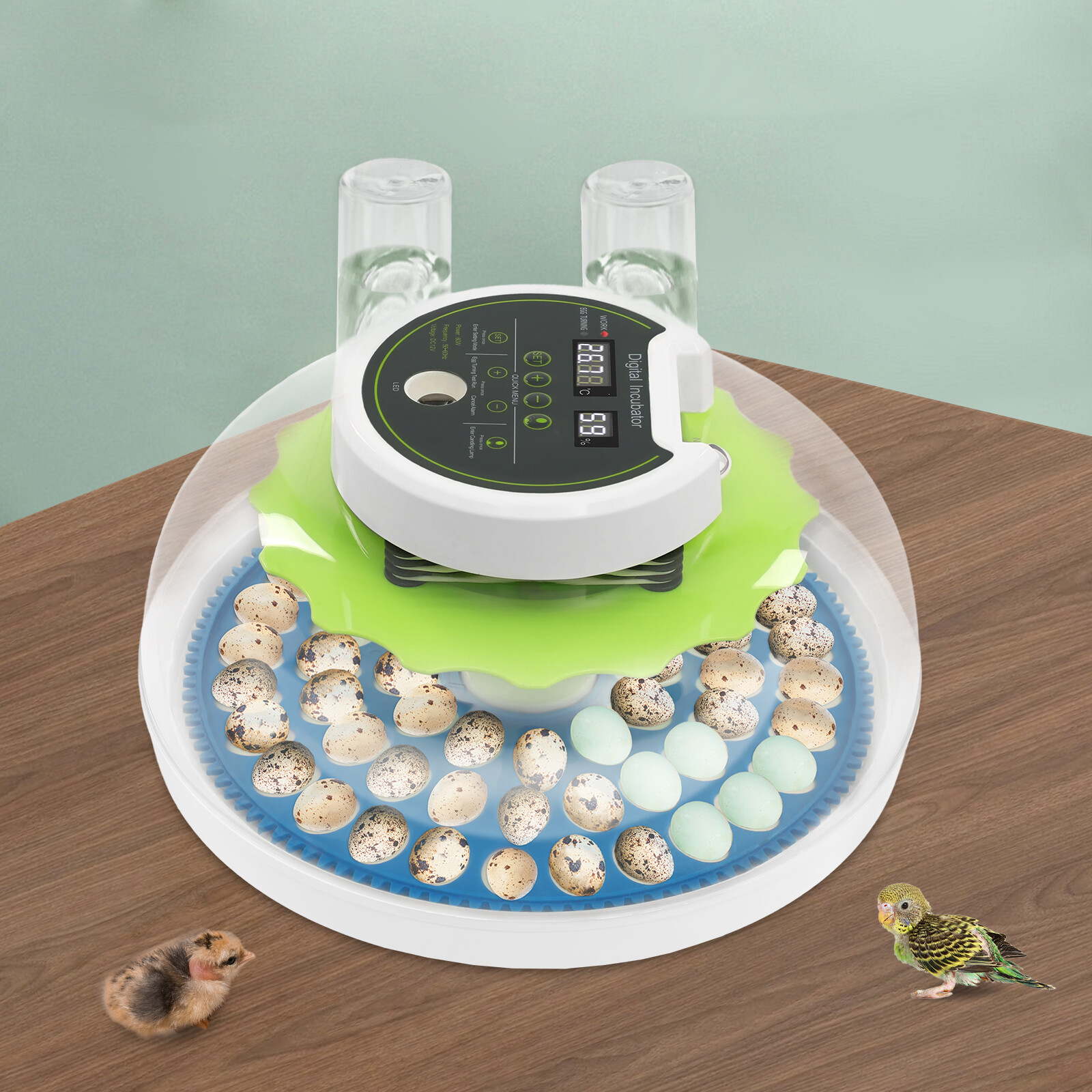 Modern LED Quail Egg Incubator Hatching 60 Quail Eggs Automatic Brooder