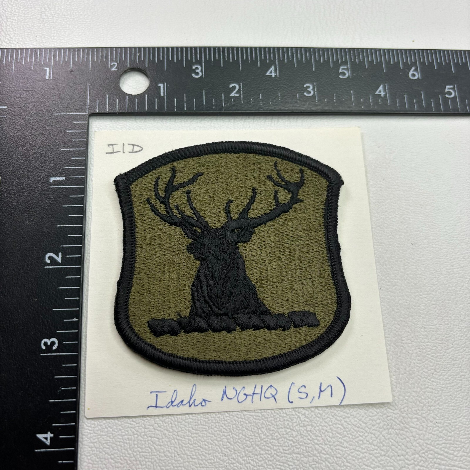 Subdued Merrowed Edge IDAHO National Guard Patch 39N9