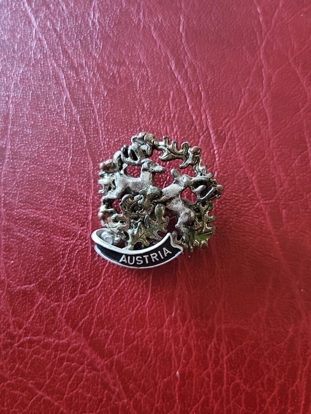 Pin Hatpin Hiking Pin Brooch Austria