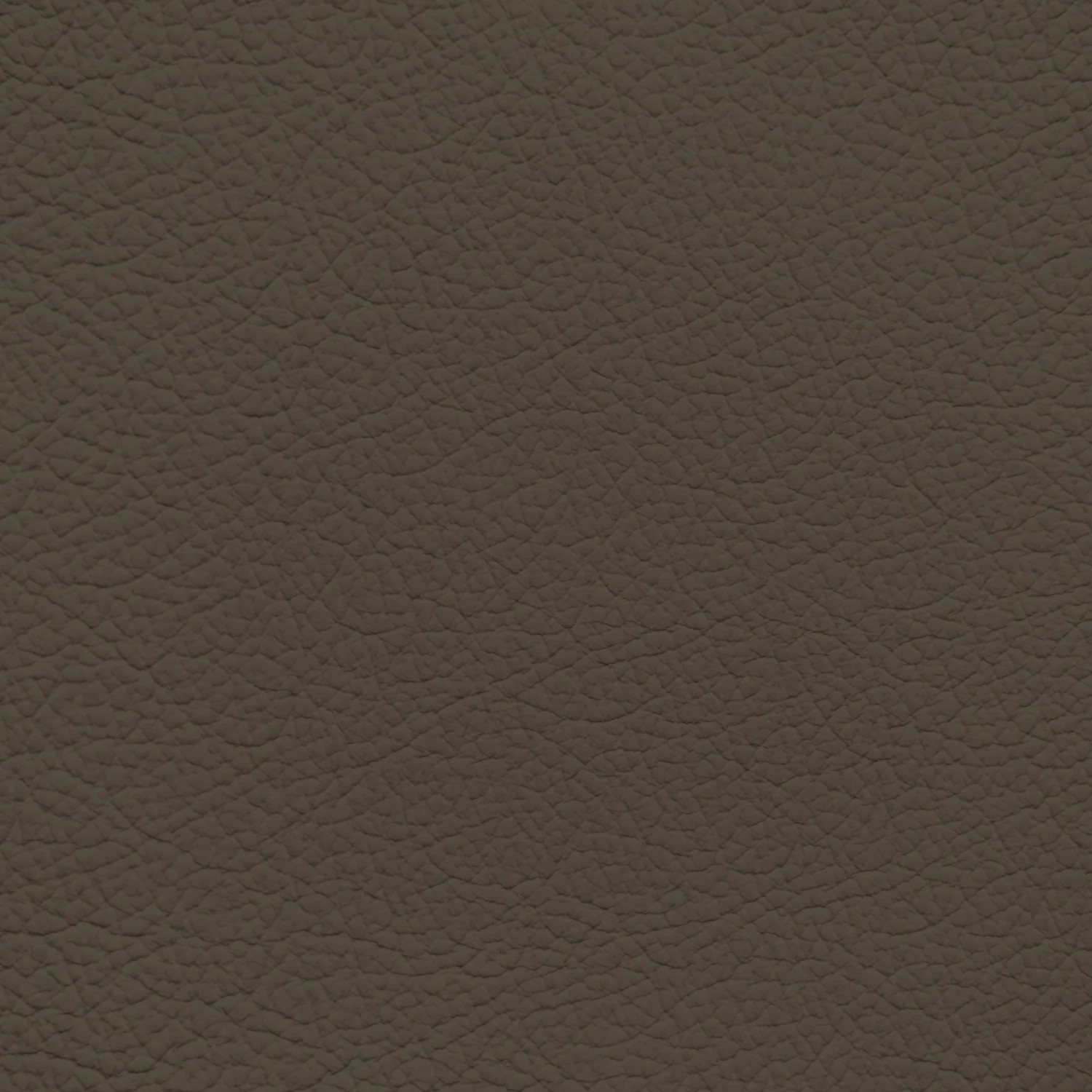 Ford/Lincoln/Mercury Java Leather Dye