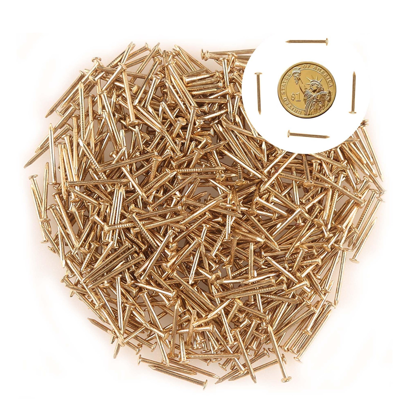 newlng 500PCS Small Nail Round Head Tiny Nails 1.5Mm X 20Mm, Golden1.5*20mm